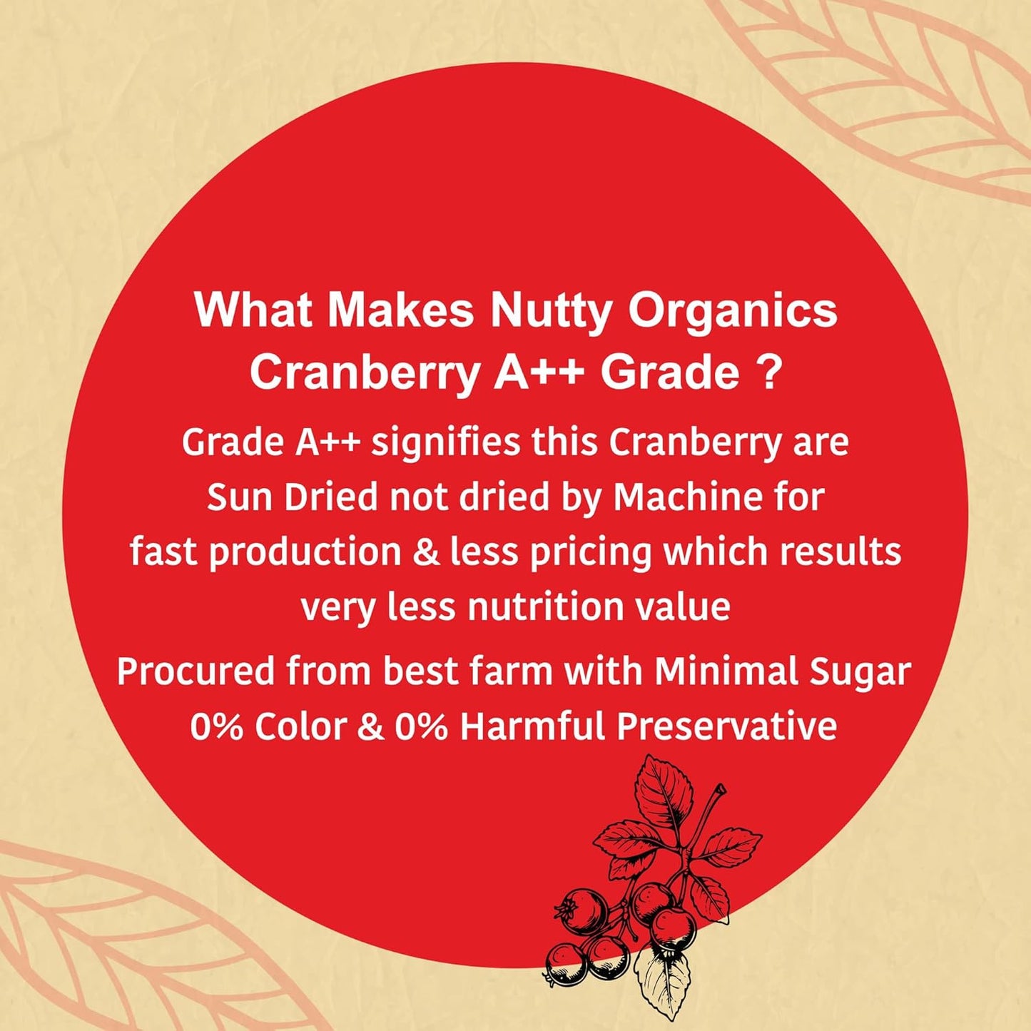 Cranberry | Dry Fruit & Berries