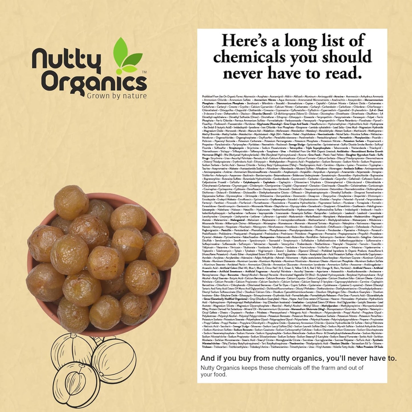 Dried Amla Murabba 500 GM