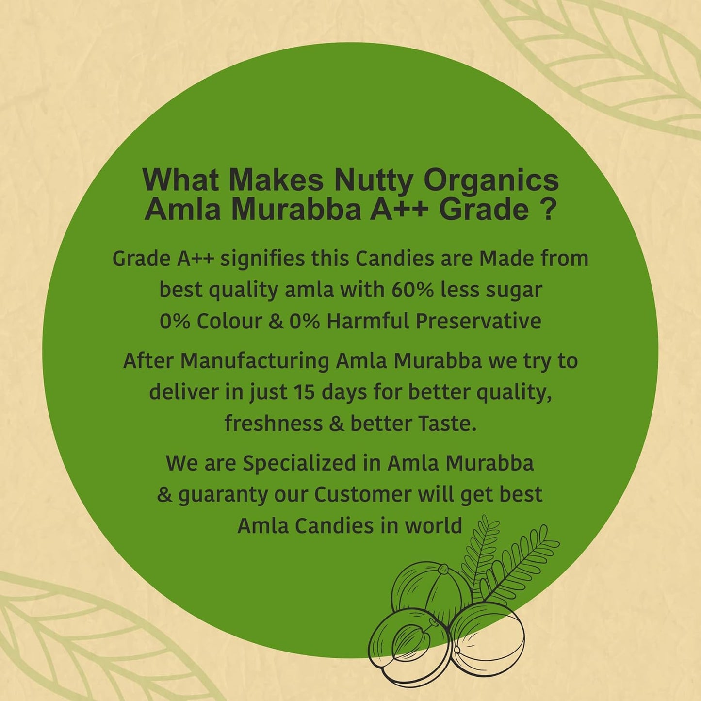 Dried Amla Murabba 500 GM