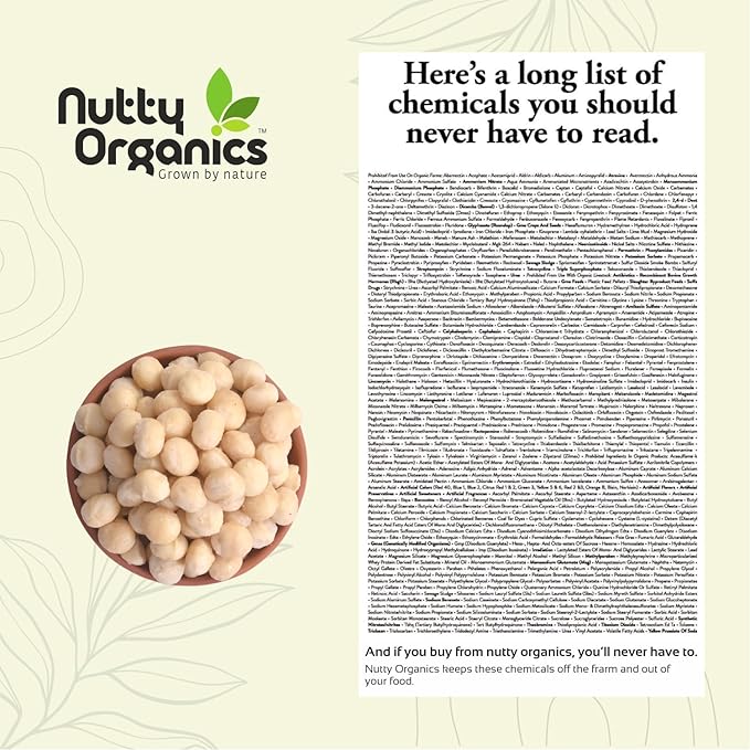 Premium Macadamia Nuts | Grade A++ Imported