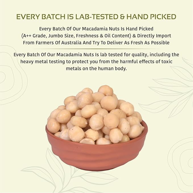 Premium Macadamia Nuts | Grade A++ Imported