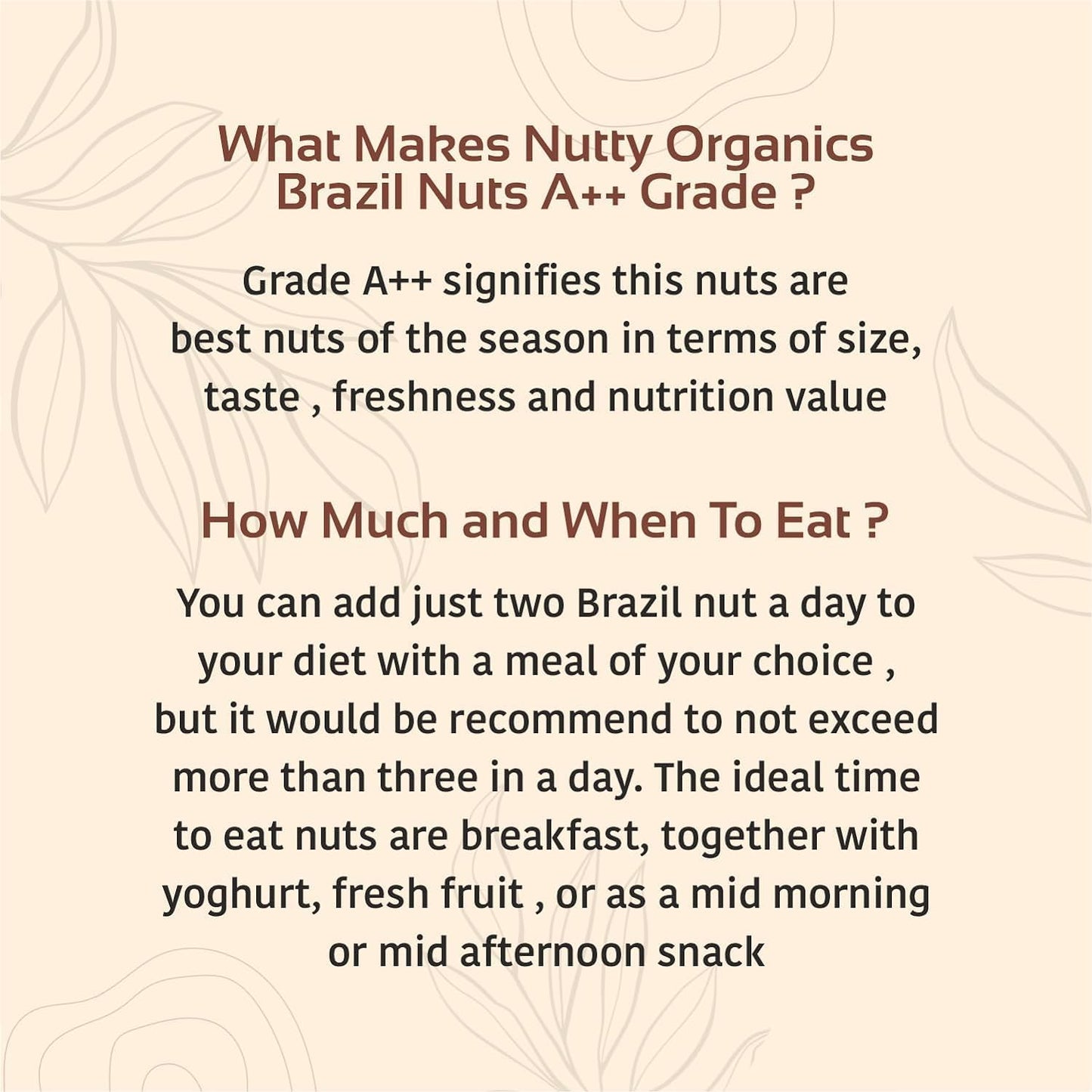 Premium Brazil Nuts | Grade A++ Jumbo Size | Rich in Selenium
