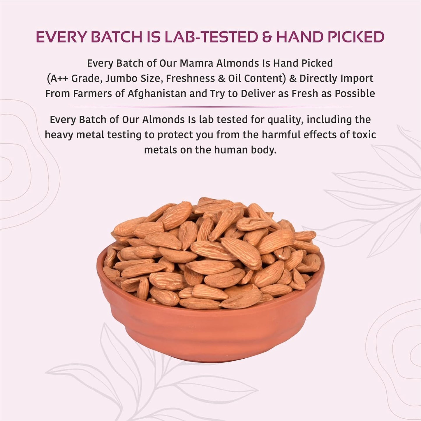 Premium Mamra Almonds | Grade A++ Rich in Oil, Vitamins & Protein