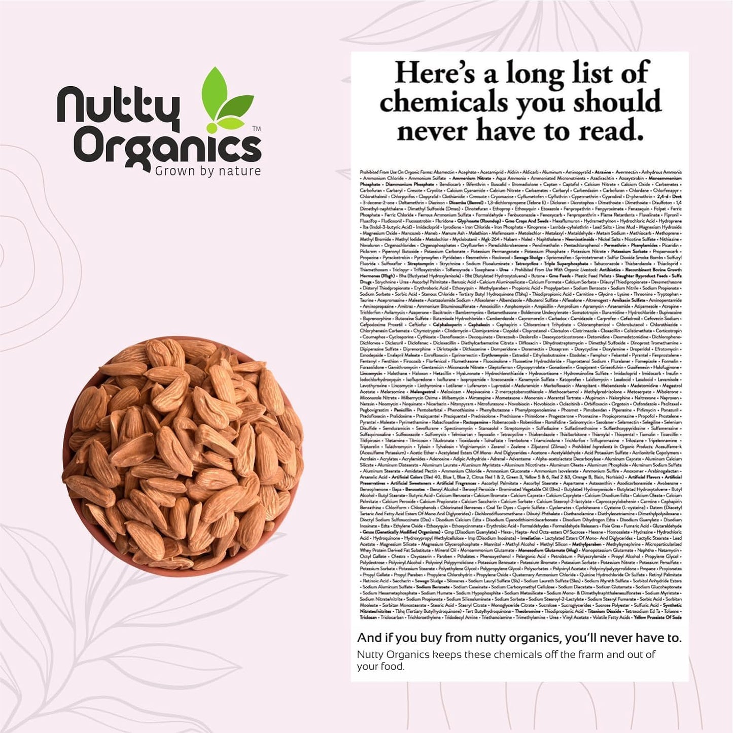 Premium Mamra Almonds | Grade A++ Rich in Oil, Vitamins & Protein