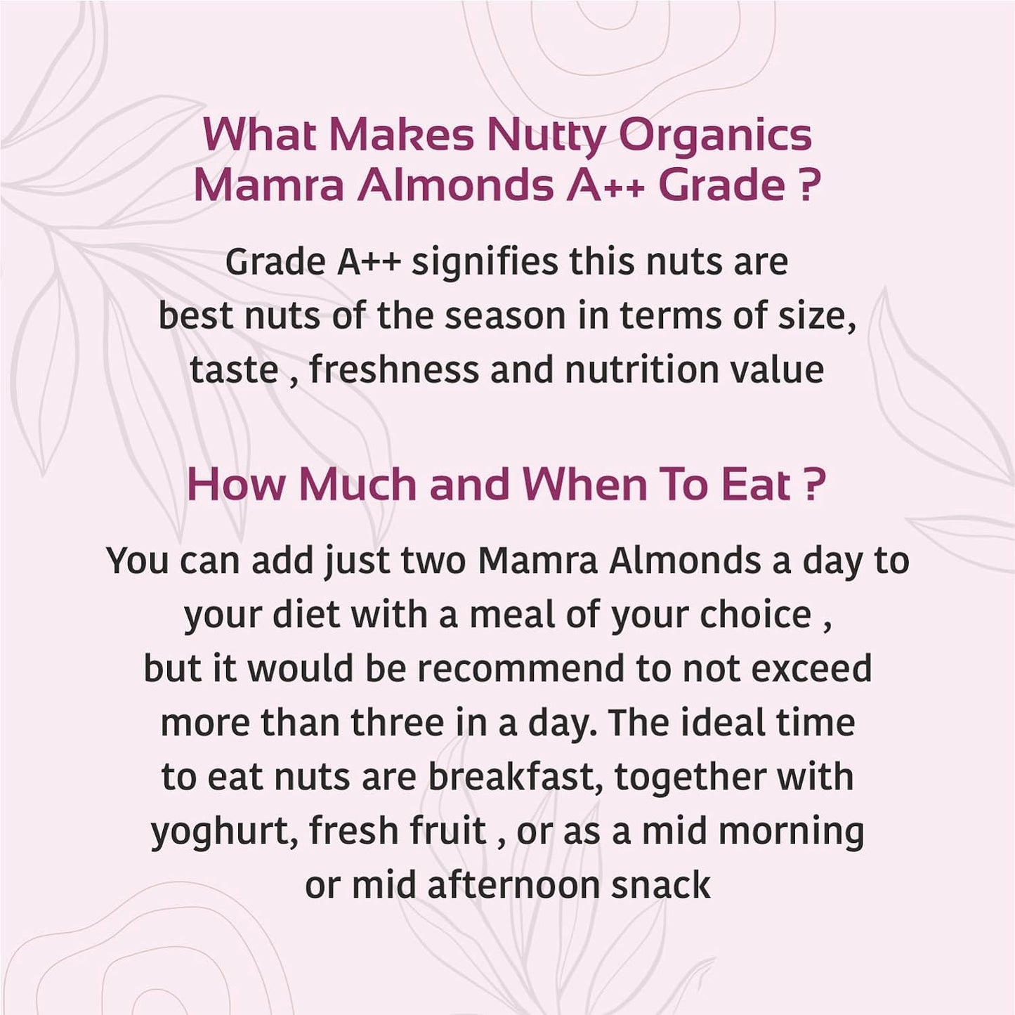 Premium Mamra Almonds | Grade A++ Rich in Oil, Vitamins & Protein