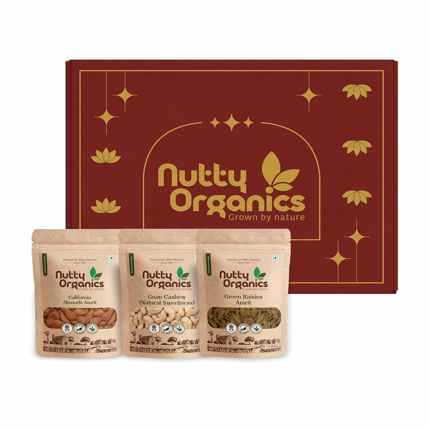 Nutty Organics Premium Gift Set — Almonds · Cashew · Green Raisins (100g each) + Card