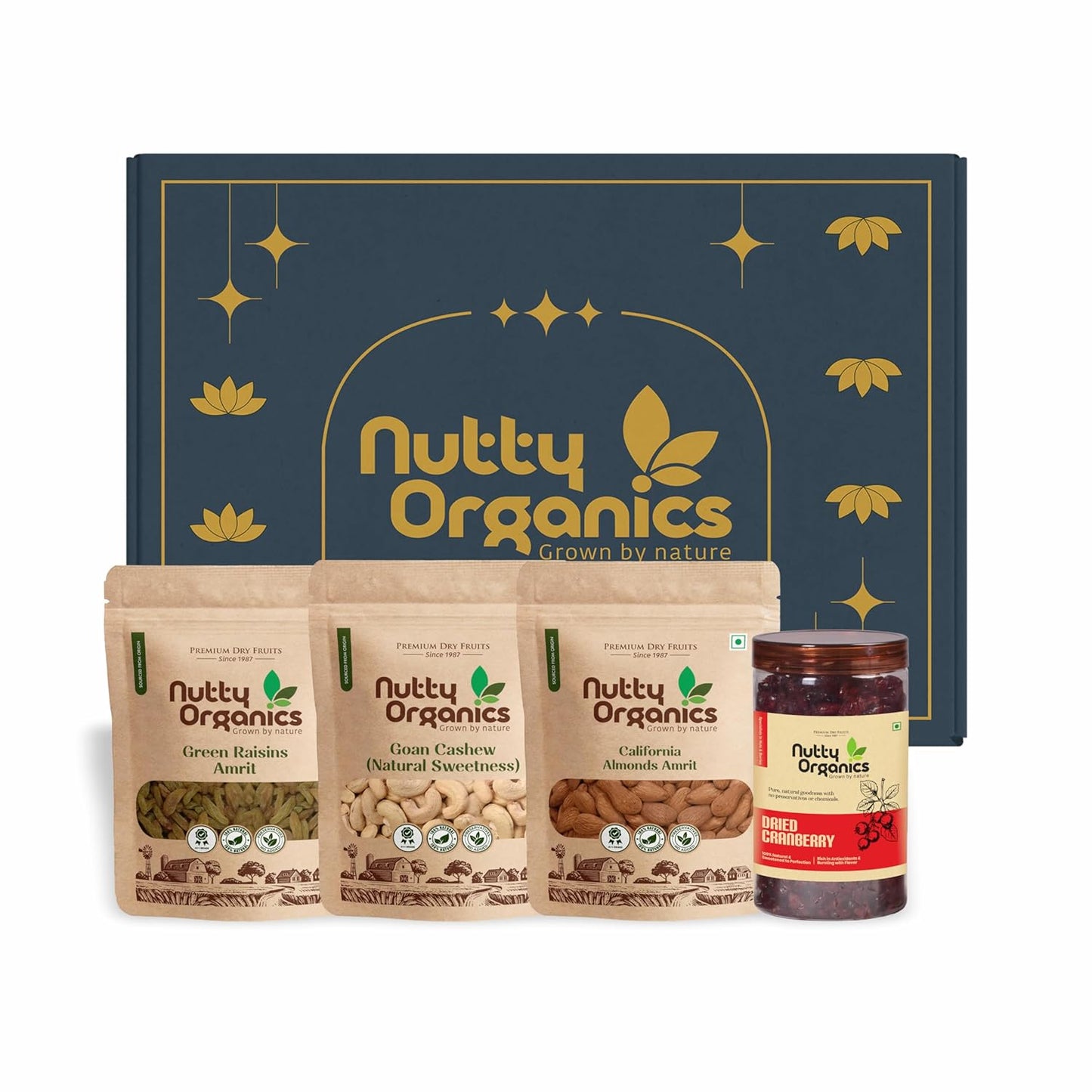 Nutty Organics Premium Dry Fruit Set — 3×150g (Almonds, Cashew, Raisins) + Cranberry 180g | Gift Box & Card