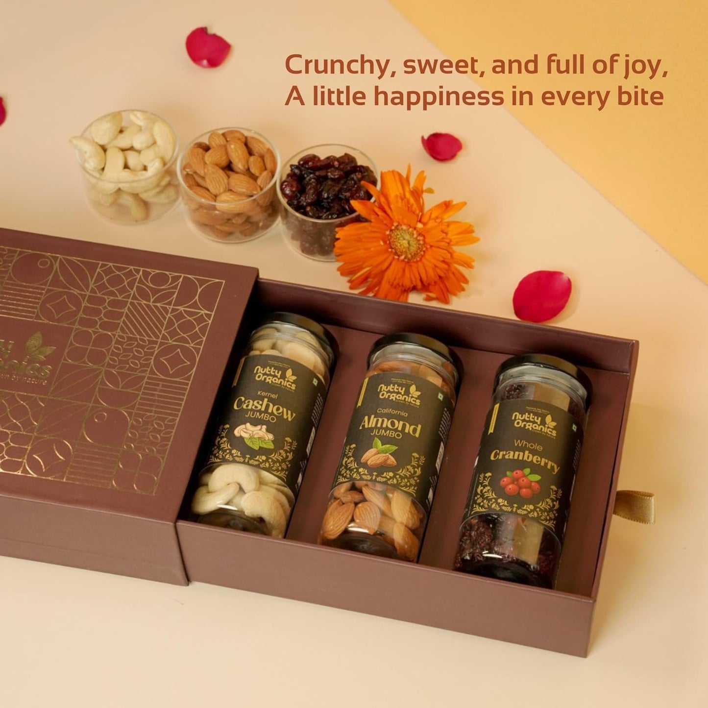 Nutty Organics Premium Diwali Gift Box: Cashew, Almond & Whole Cranberry — 3×160g Jars | Vegan, Gluten-Free