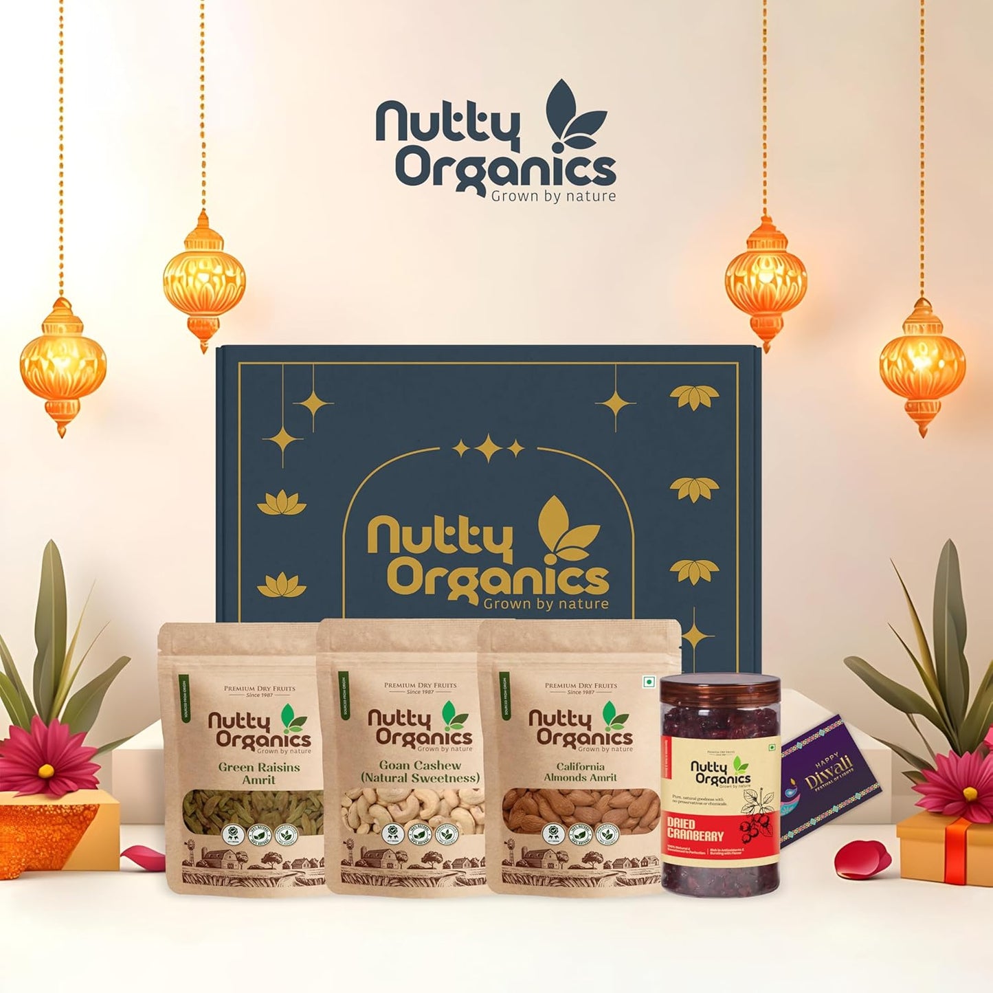 Nutty Organics Premium Dry Fruit Set — 3×150g (Almonds, Cashew, Raisins) + Cranberry 180g | Gift Box & Card