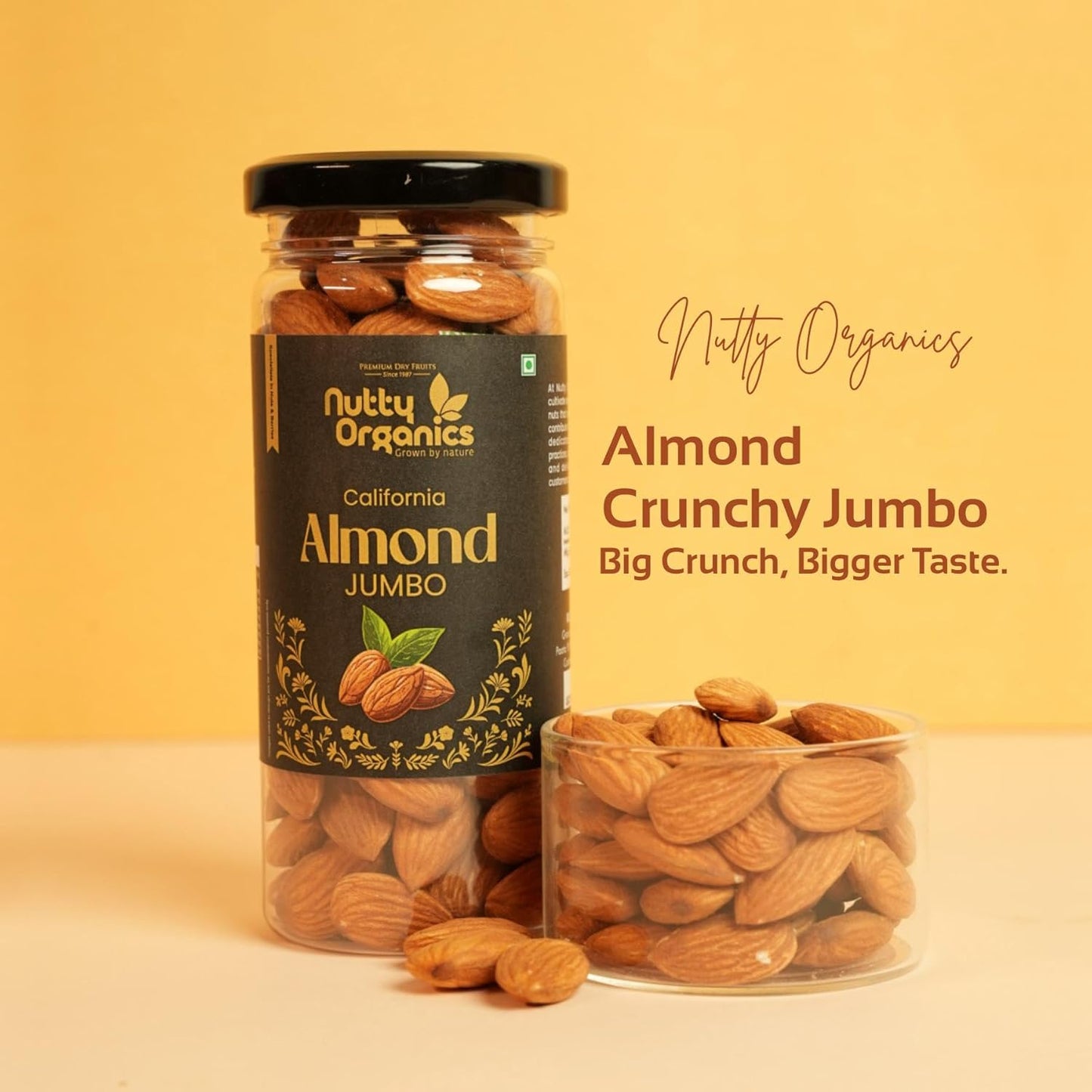 Nutty Organics Premium Diwali Gift Box: Cashew, Almond & Whole Cranberry — 3×160g Jars | Vegan, Gluten-Free