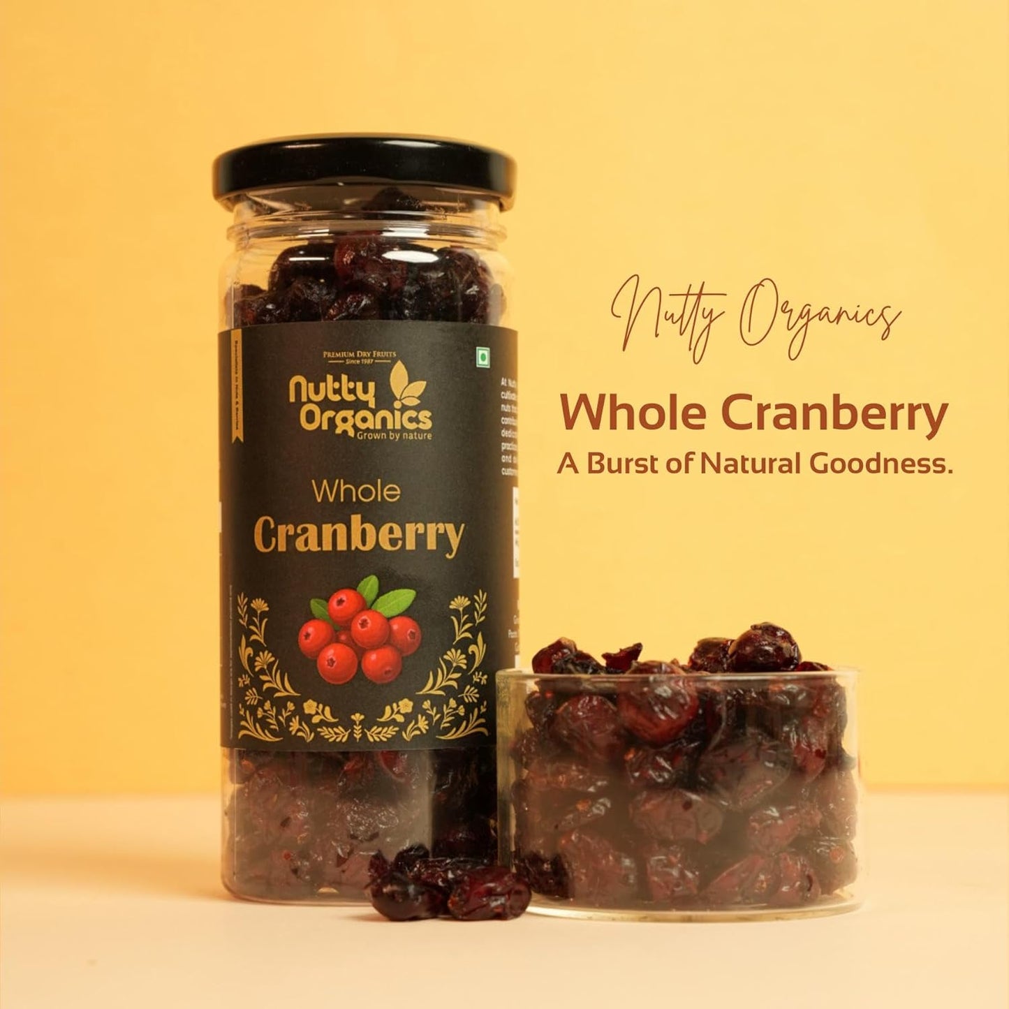 Nutty Organics Premium Diwali Gift Box: Cashew, Almond & Whole Cranberry — 3×160g Jars | Vegan, Gluten-Free