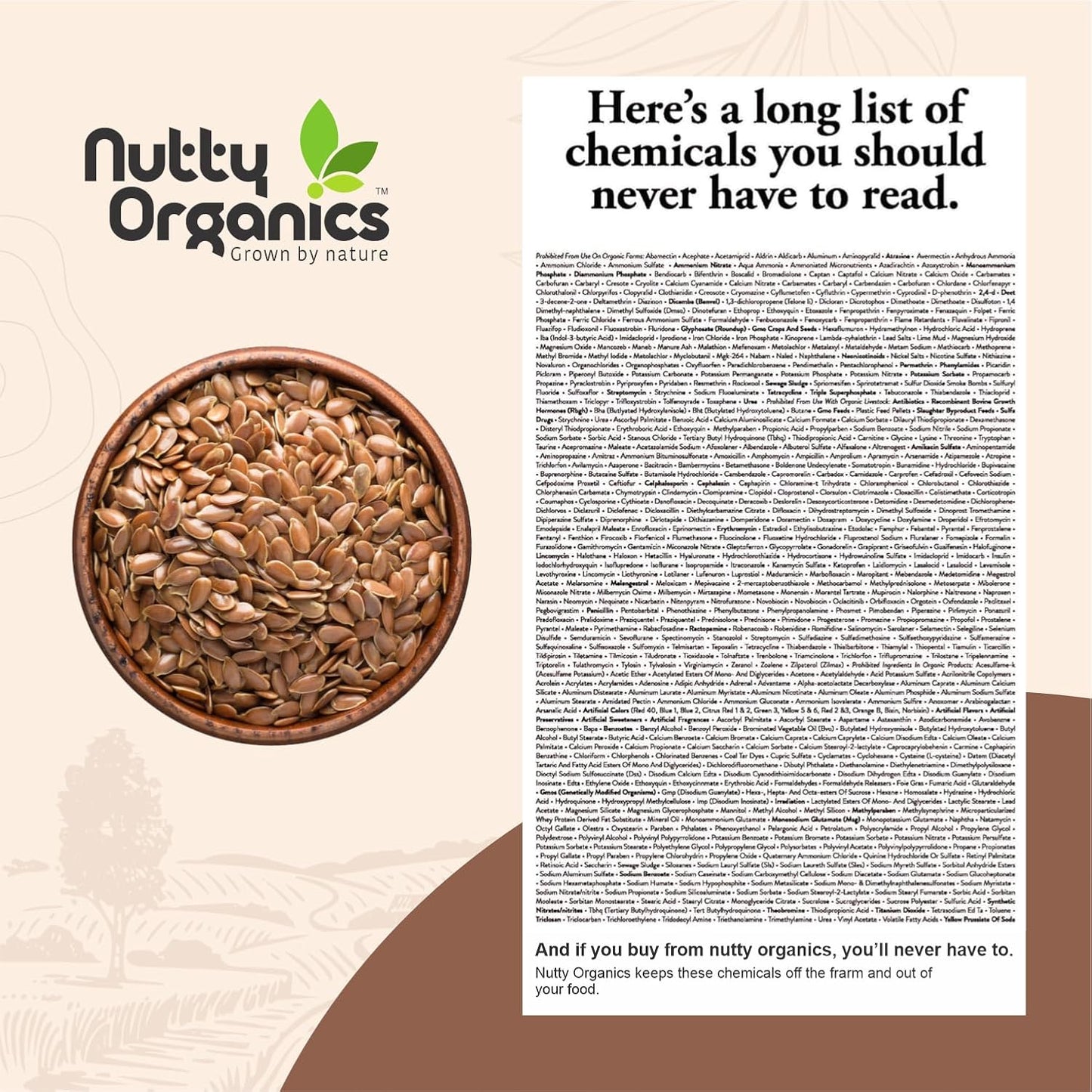 Flax Seeds