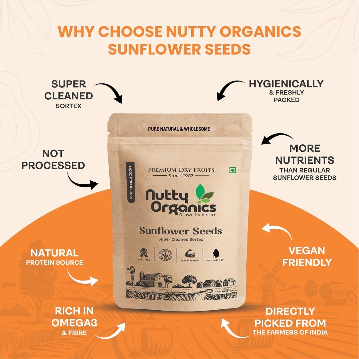 Natural Sunflower Seeds