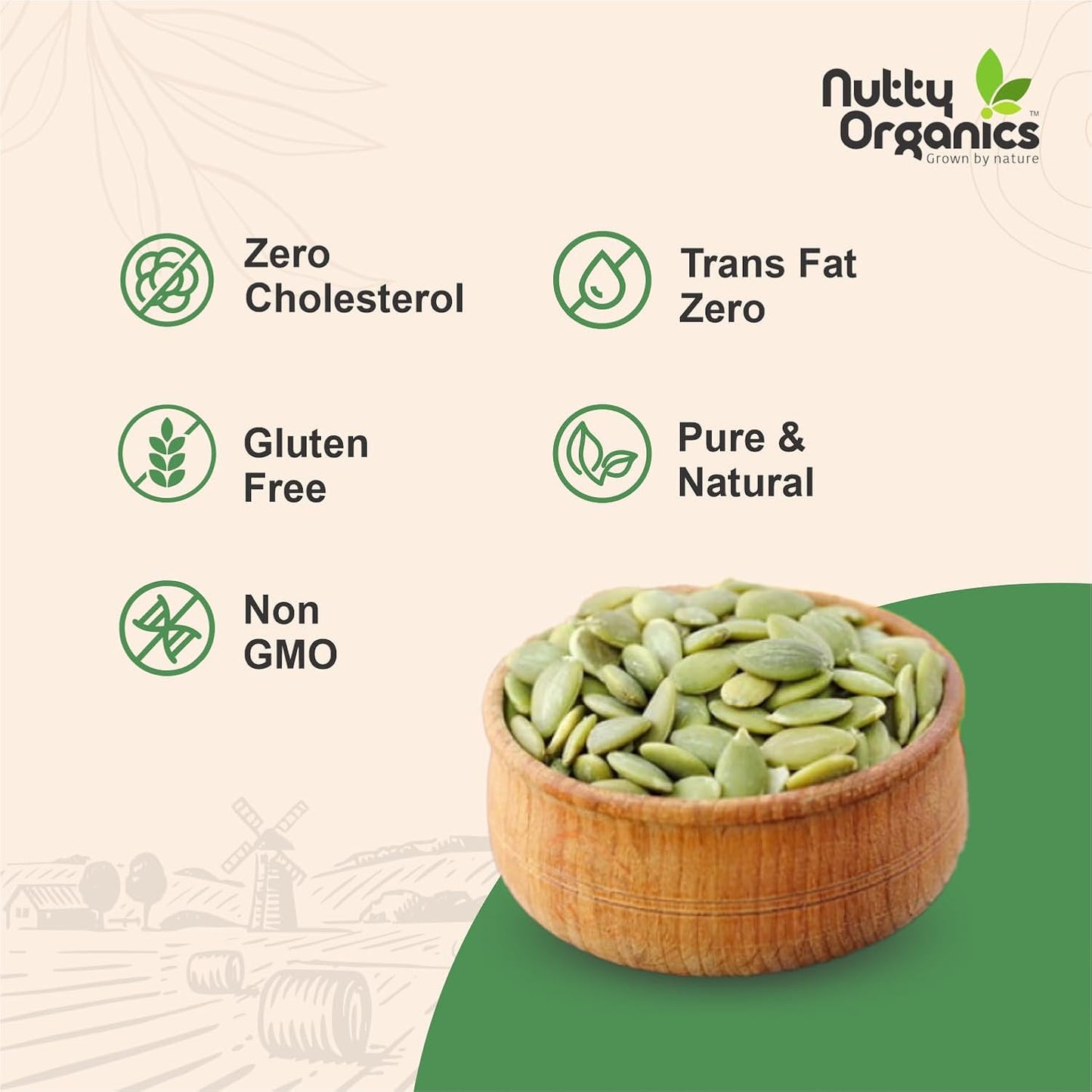Natural Pumpkin Seeds
