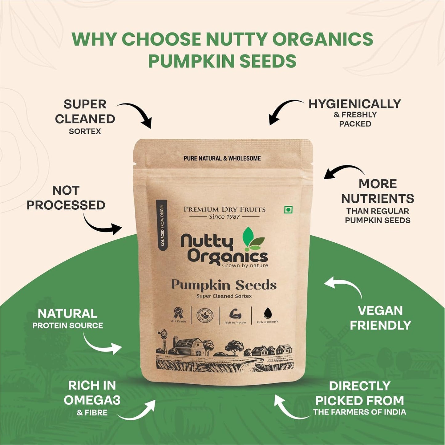 Natural Pumpkin Seeds