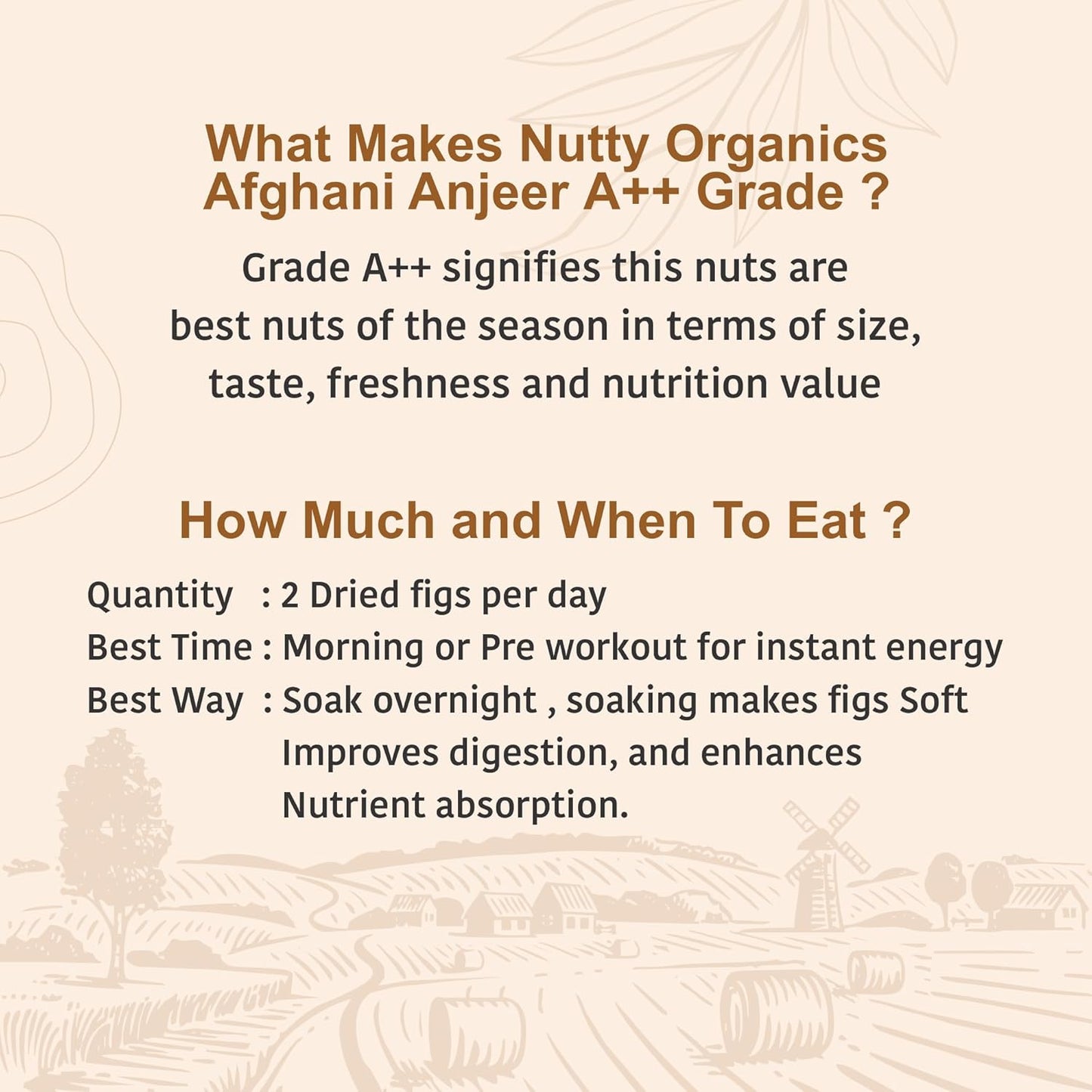 Afghani Anjeer Vedica Jumbo | Jumbo, Premium & Nutrient-Dense