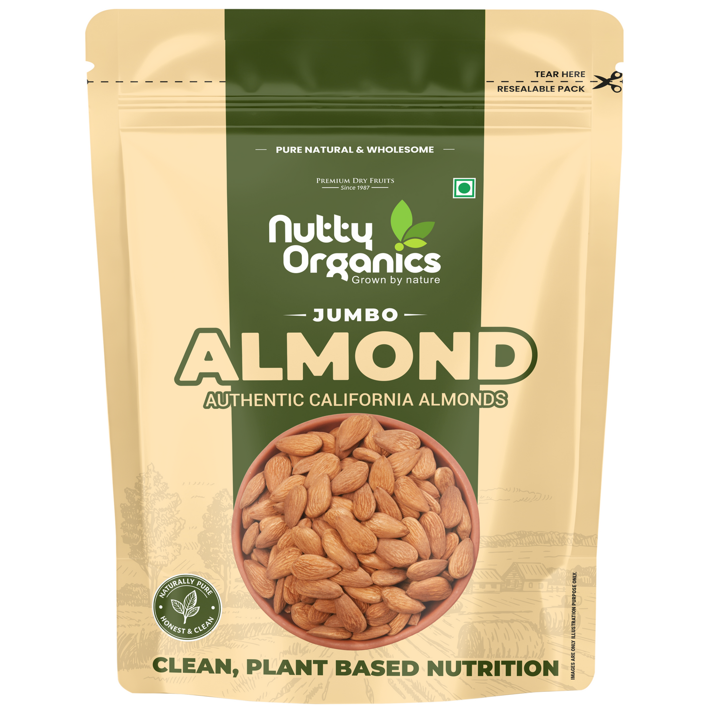 California Almonds – Jumbo Size Kernels | Crunchy & Protein-Rich