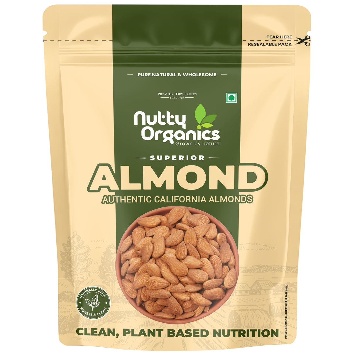 California Almond Large Size Kernels  | Crispy, Fresh & Protein-Rich