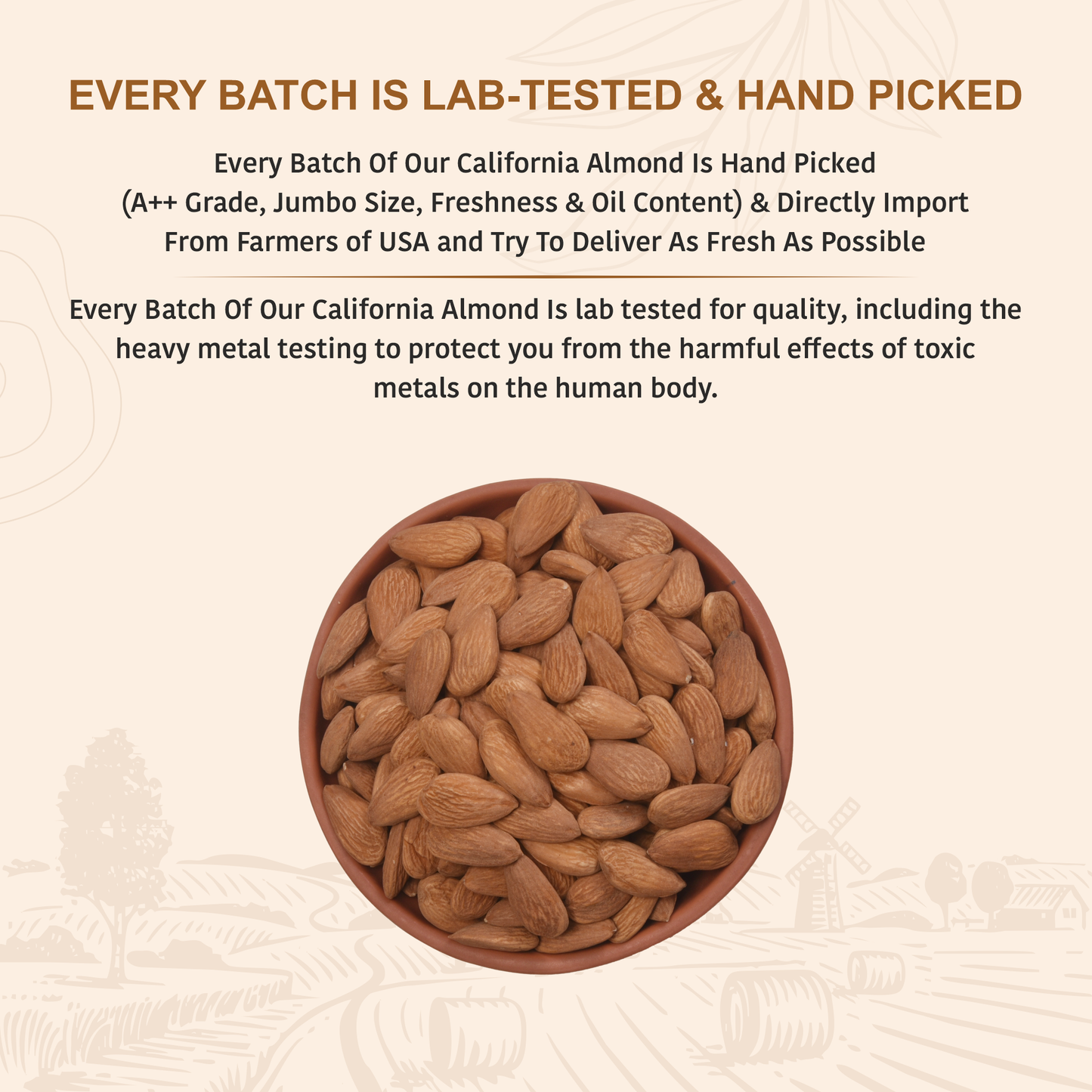 California Almonds | Nutritious Tasty & Healthy