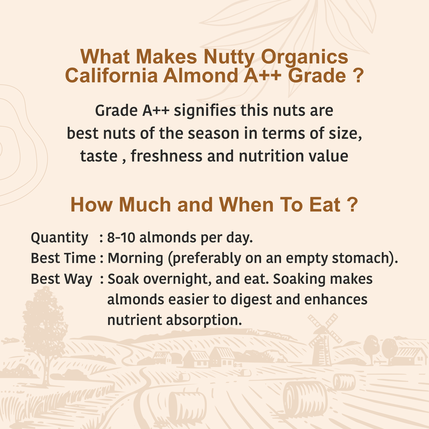 California Almonds | Nutritious Tasty & Healthy