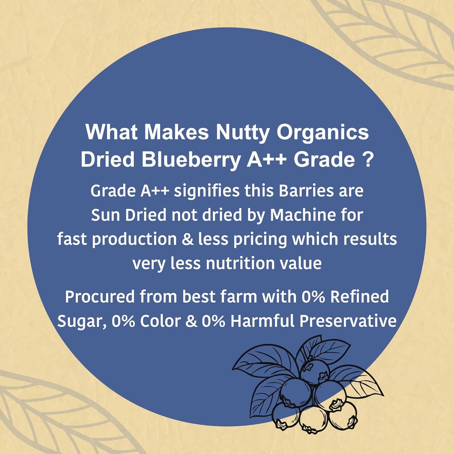 Dried Blueberry