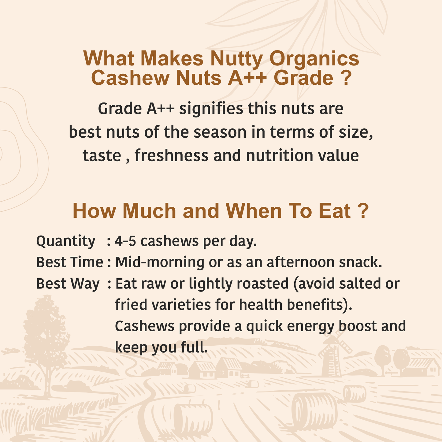 Cashew Nuts | Nutritious Tasty & Healthy