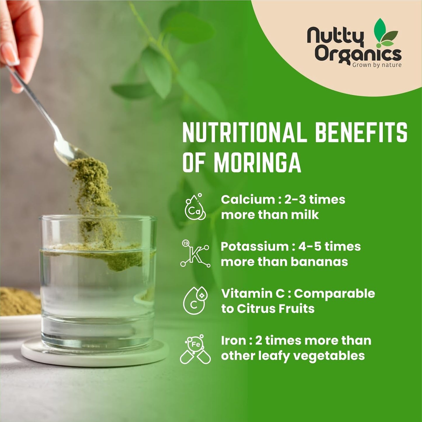 Certified Organic Moringa Powder 200 Gram | Nutrient-Dense, Energizing & Detox-Friendly