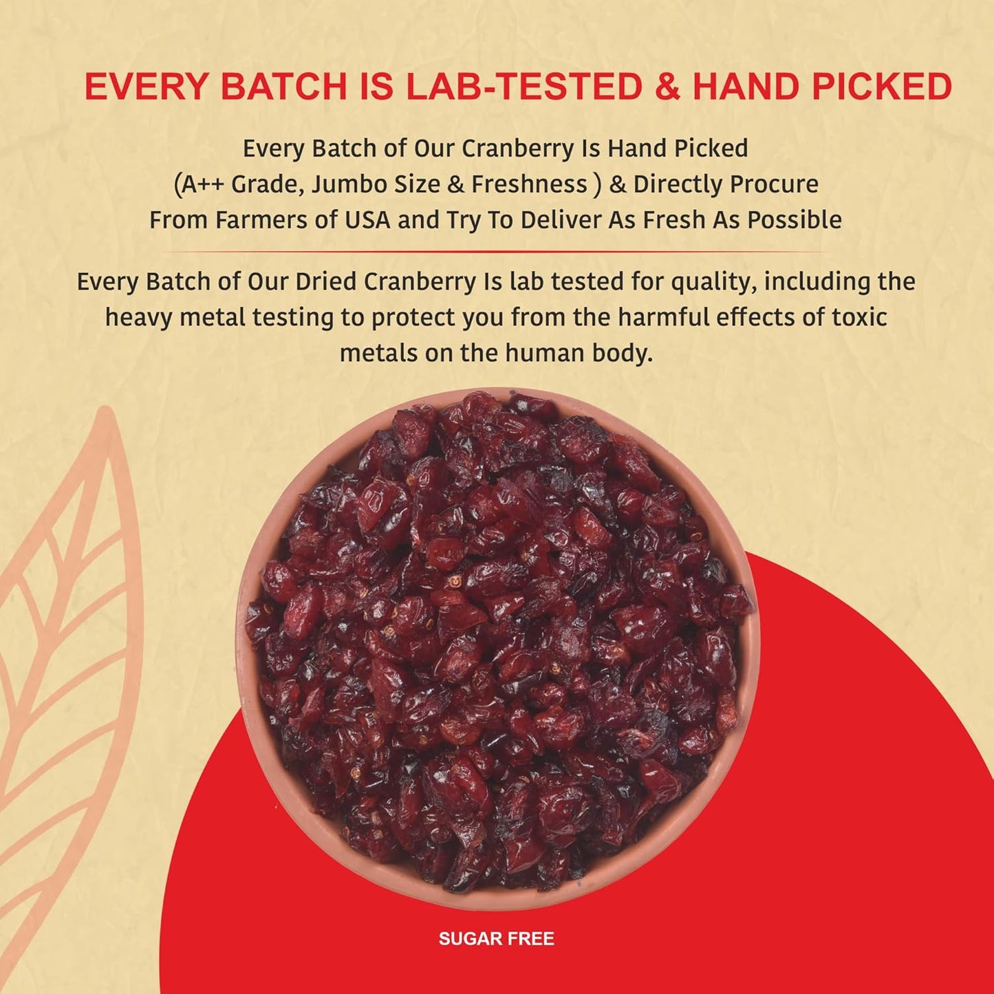 Cranberry | Dry Fruit & Berries