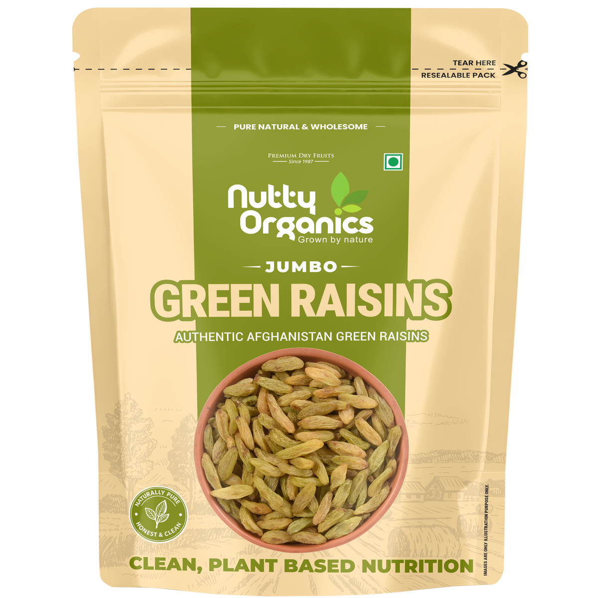 Green Sunderkhani Raisins – Jumbo Size Kismish