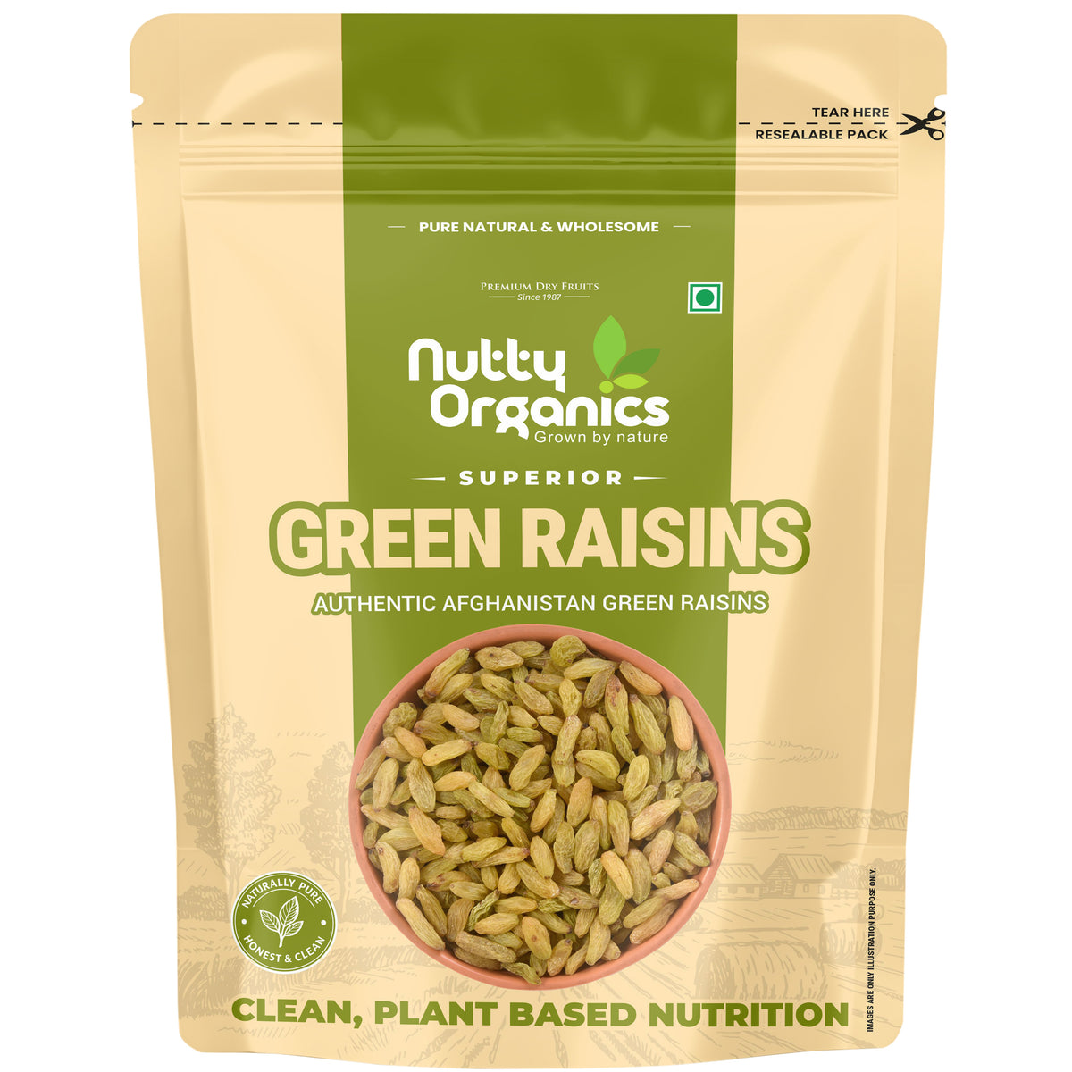 Green Sunderkhani Raisins – Medium Size Kismish