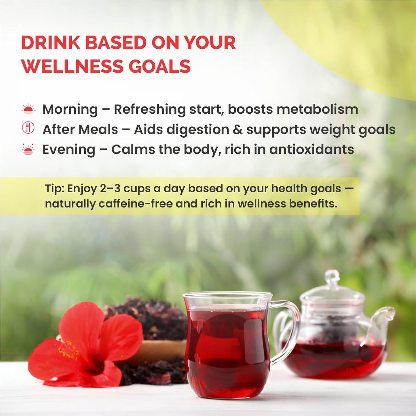 Hibiscus Tea 100 Gram | Tangy, Floral & Antioxidant-Rich