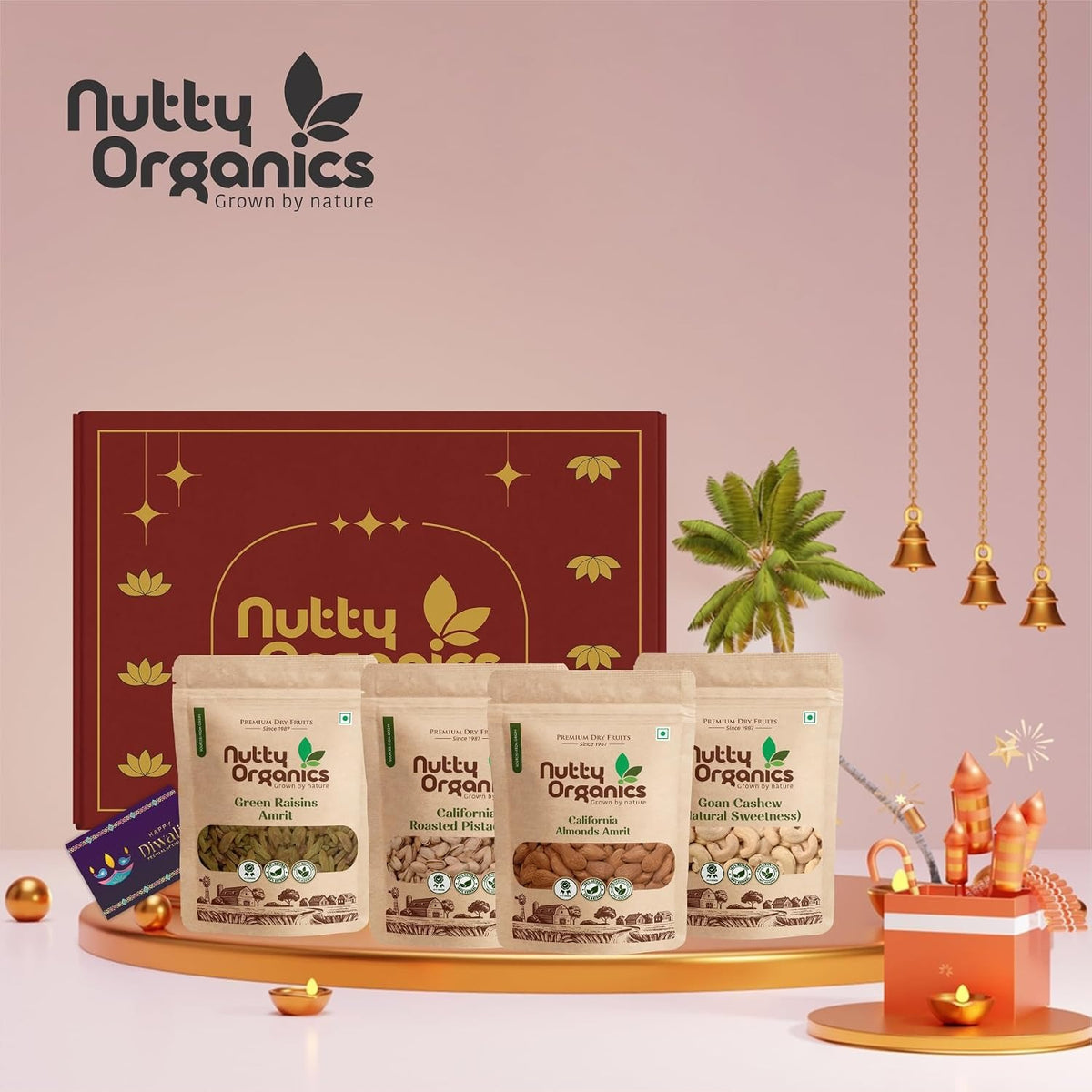 Nutty Organics Premium Dry Fruits Gift Pack – Cashew, Almonds, Green Raisins, Pistachio 100 gram Each & Healthy Dry Fruit Combo for Gifting & Every Occasion