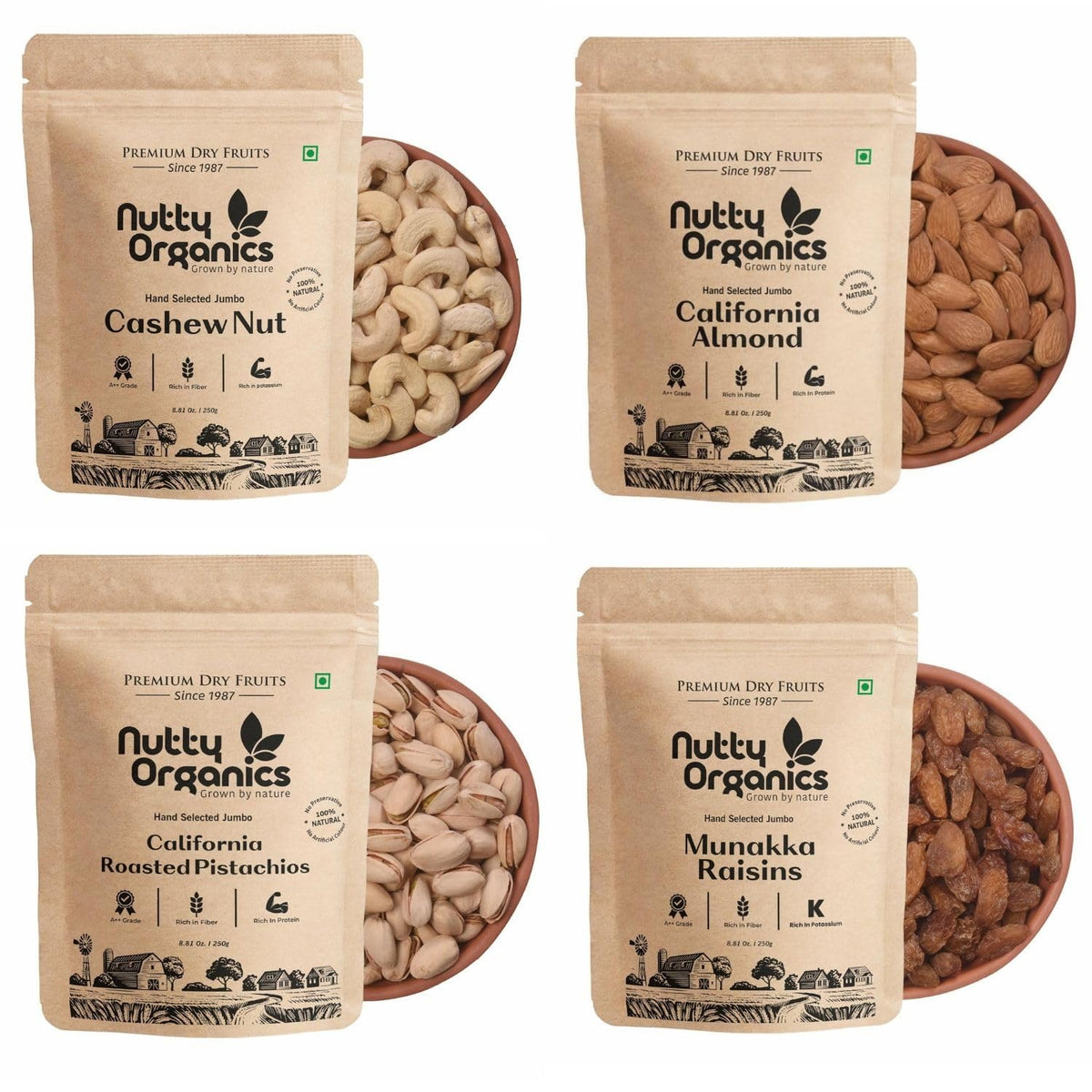 Nutty Organics Mix Dry Fruits Combo 1Kg – California Almonds, Whole Cashews, Green Raisins (Kishmish) & Exotic Pistachios (250g Each) | High Fiber, Rich Protein, Immunity Support | Healthy Dry Fruit Gift Box for Family, Friends & Diwali