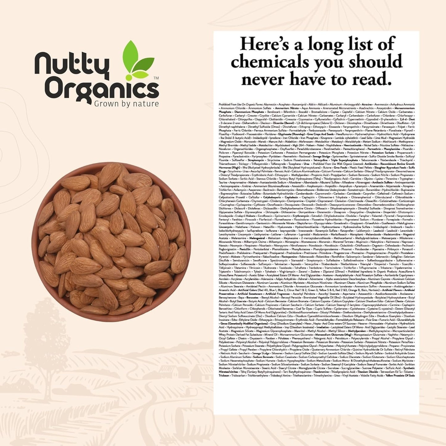 Nutty Organics Mix Dry Fruits Combo 1Kg – California Almonds, Whole Cashews, Green Raisins (Kishmish) & Exotic Pistachios (250g Each) | High Fiber, Rich Protein, Immunity Support | Healthy Dry Fruit Gift Box for Family, Friends & Diwali