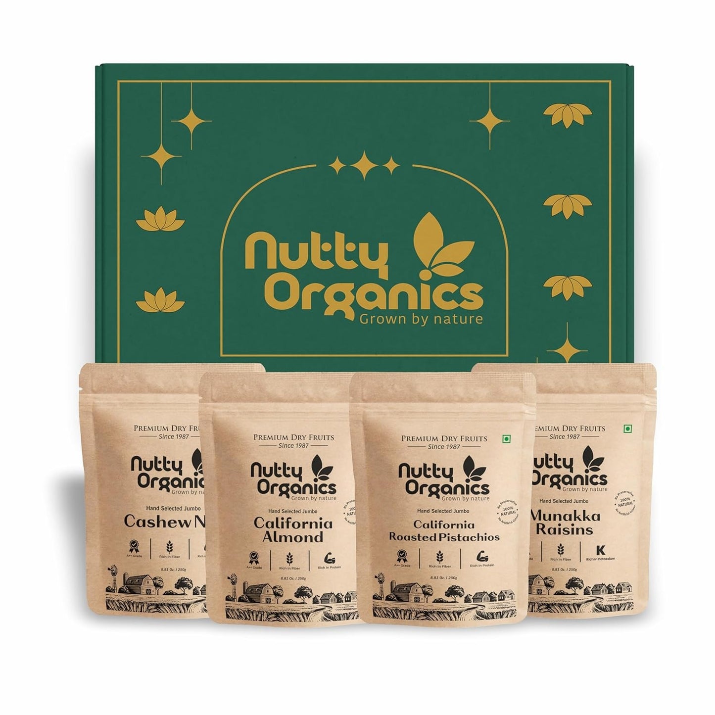 Nutty Organics Mix Dry Fruits Combo 1Kg – California Almonds, Whole Cashews, Green Raisins (Kishmish) & Exotic Pistachios (250g Each) | High Fiber, Rich Protein, Immunity Support | Healthy Dry Fruit Gift Box for Family, Friends & Diwali
