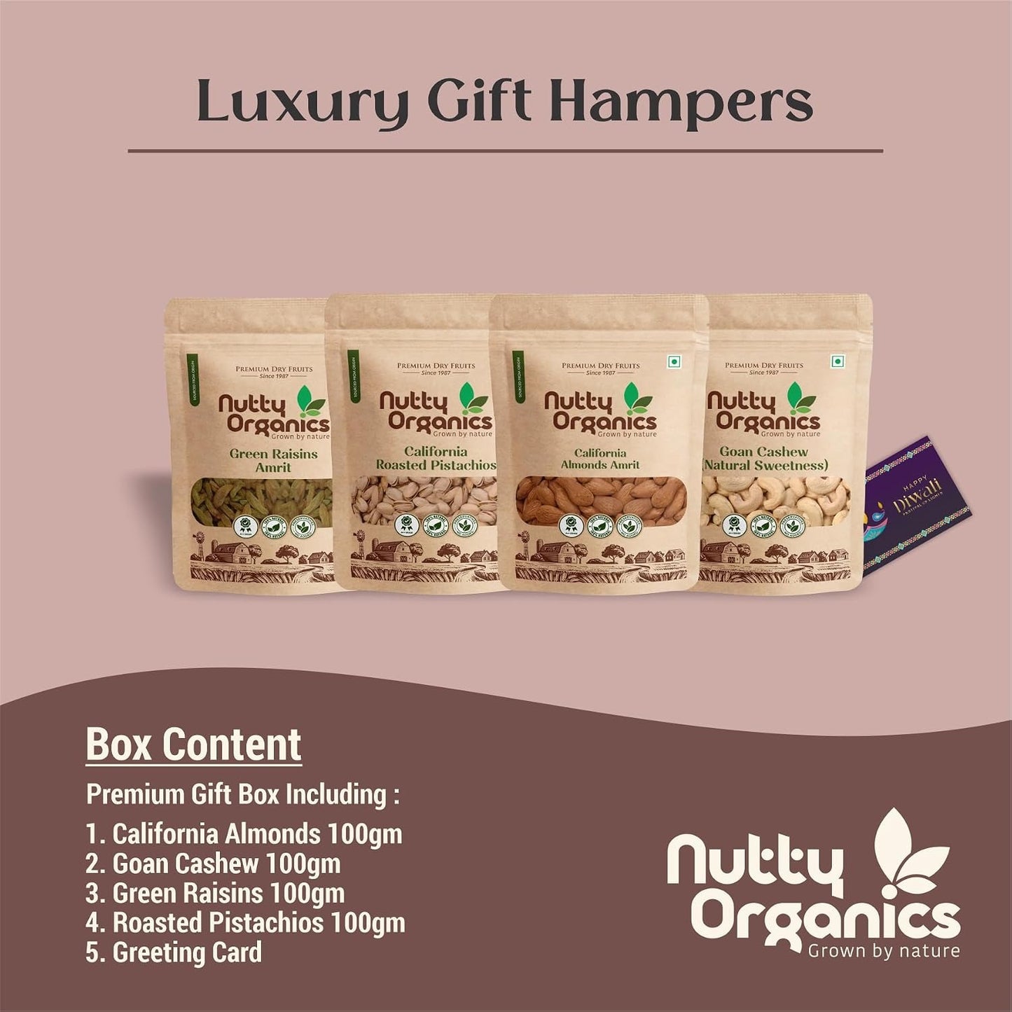 Nutty Organics Premium Dry Fruits Gift Pack – Cashew, Almonds, Green Raisins, Pistachio 100 gram Each & Healthy Dry Fruit Combo for Gifting & Every Occasion