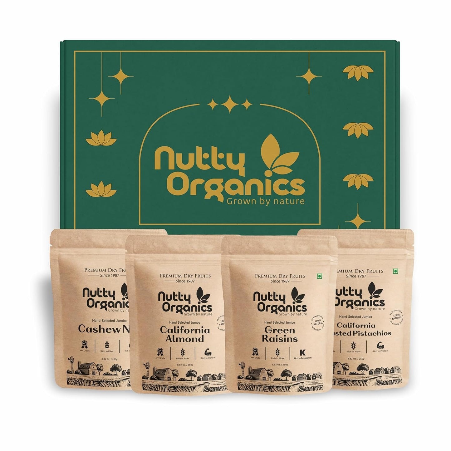Nutty Organics Mix Dry Fruits Combo 1Kg – California Almonds, Whole Cashews, Green Raisins (Kishmish) & Exotic Pistachios (250g Each) | High Fiber, Rich Protein, Immunity Support | Healthy Dry Fruit Gift Box for Family, Friends & Diwali