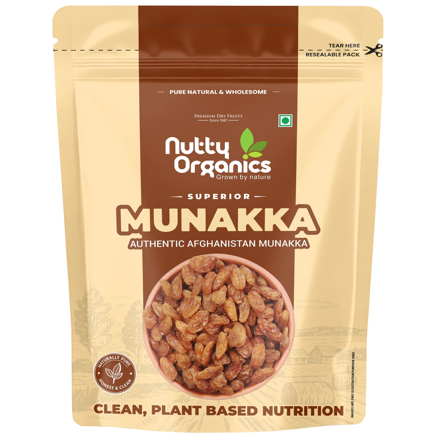 Munakka Raisins – Large Size Golden Raisins