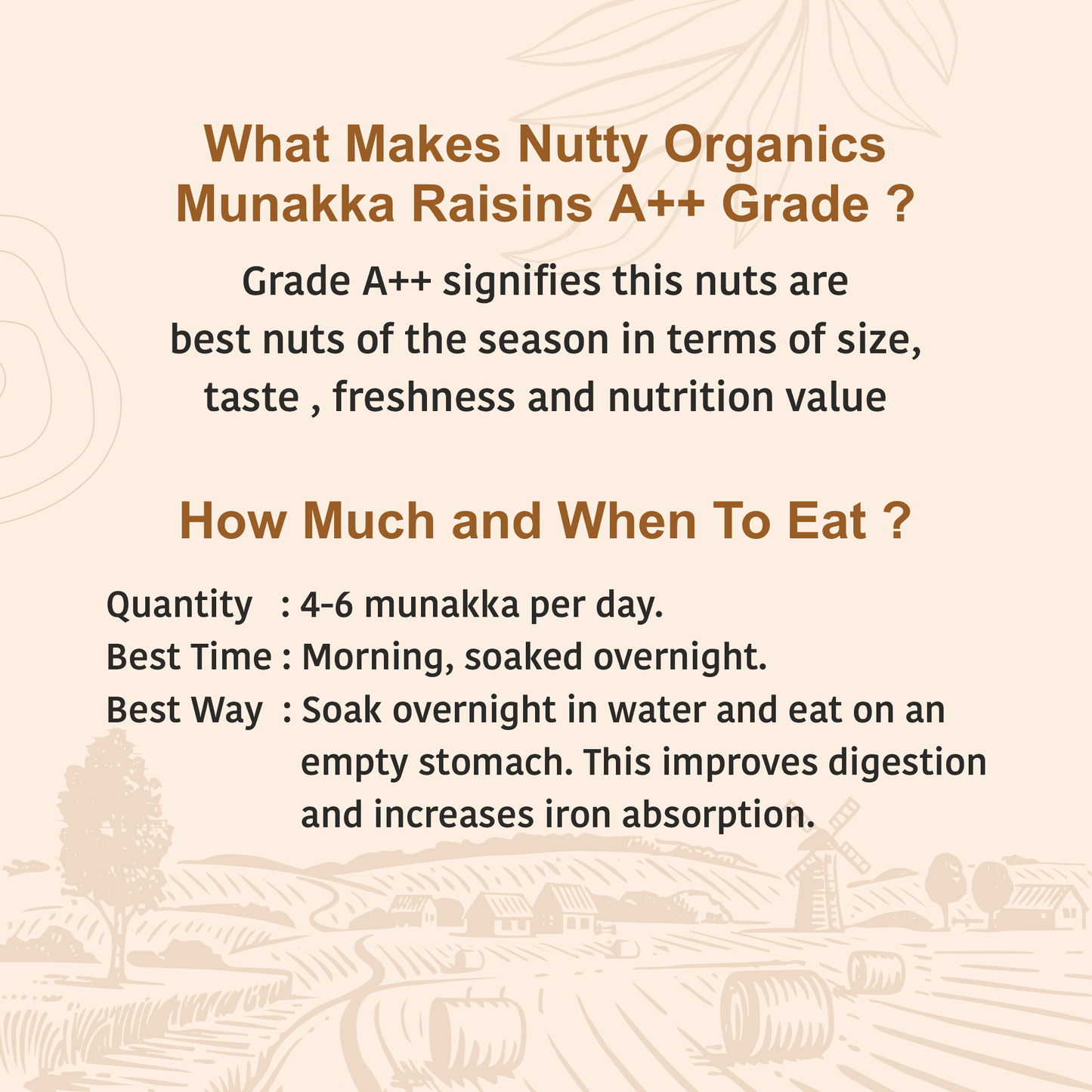 Munaka Raisins | Tasty & Healthy Nuts Dry Fruits