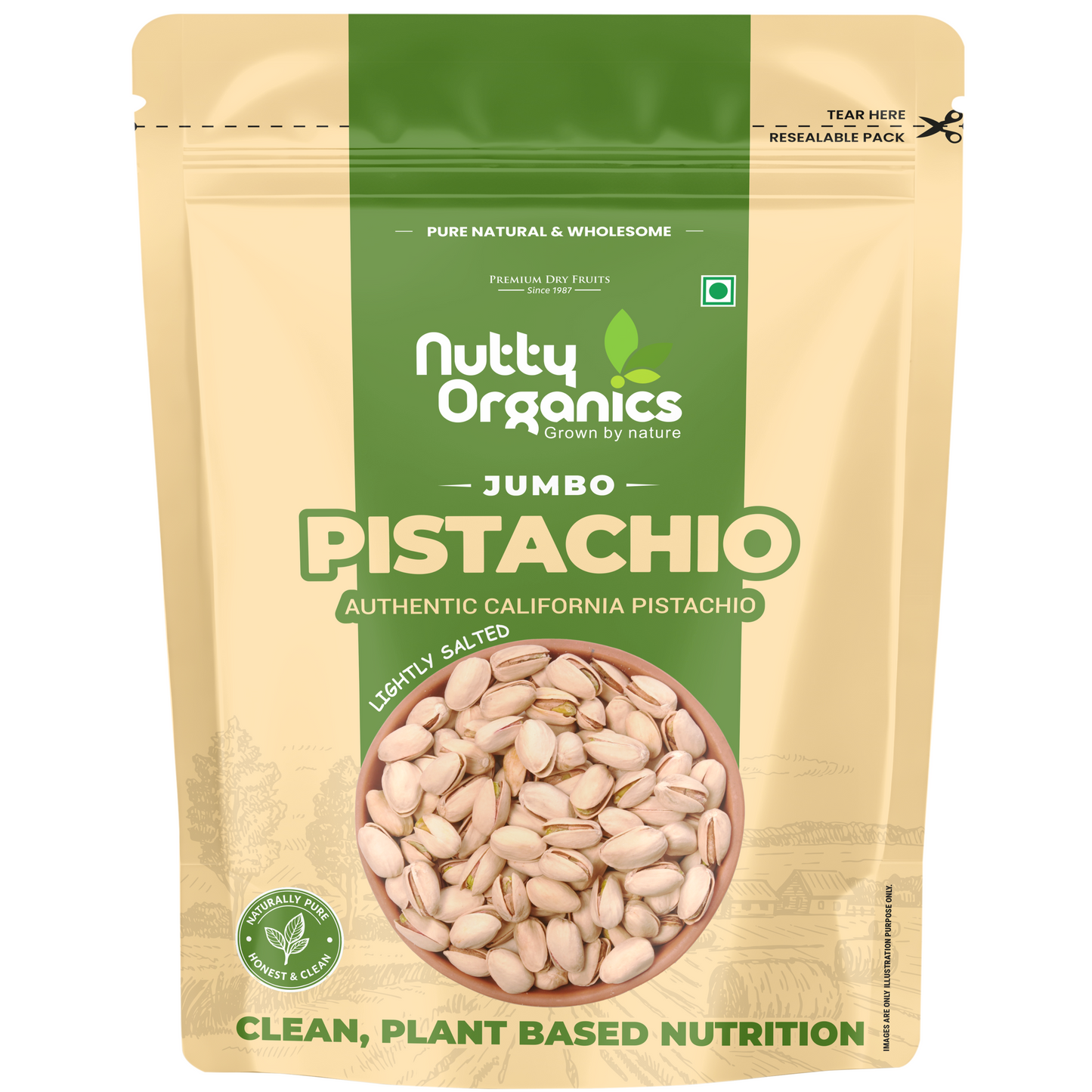 California Pistachios – Jumbo Size Pista (Salted) | Savory, Crunchy & Heart-Healthy
