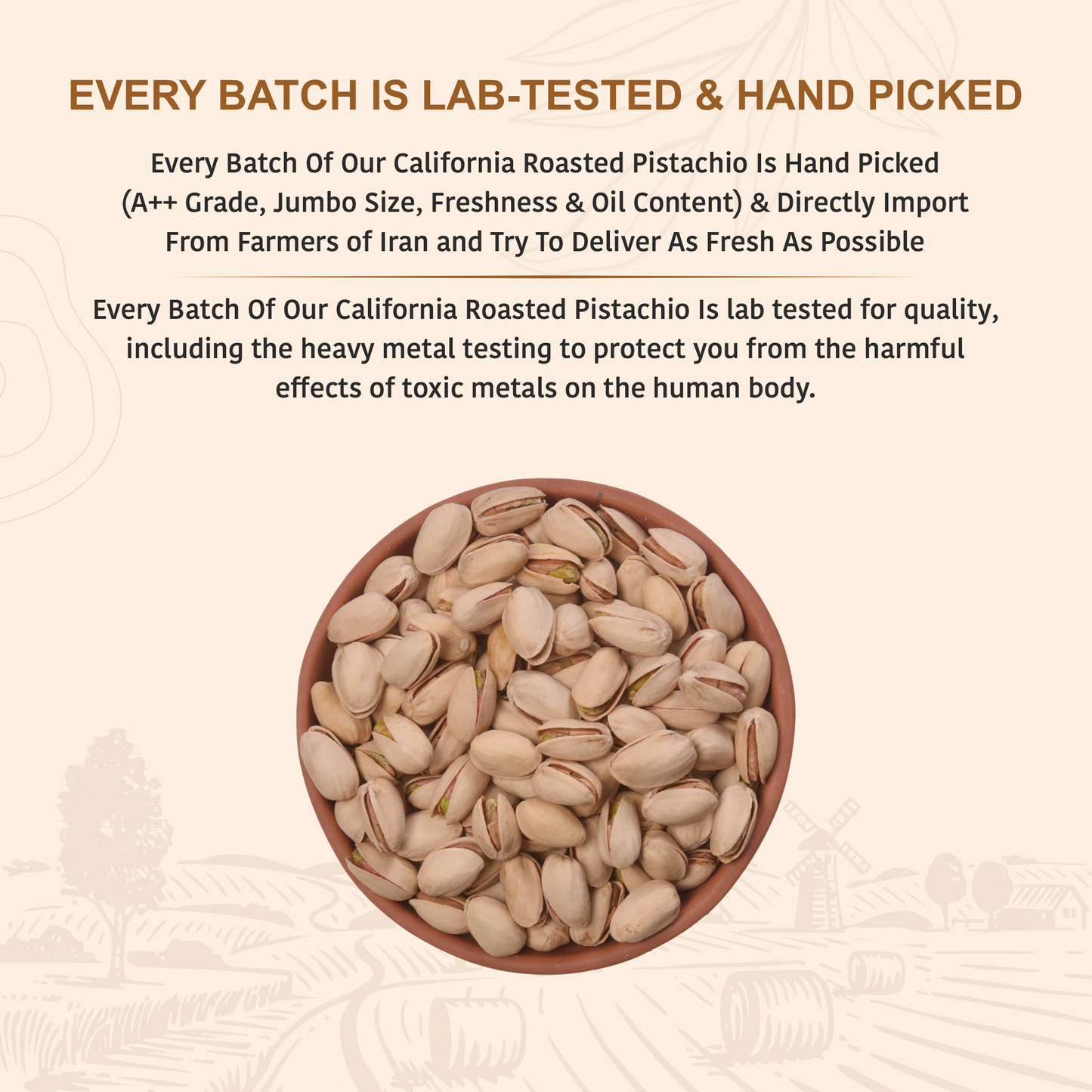 California Roasted Pistachios | Nutritious Tasty & Healthy Nuts Dry Fruits