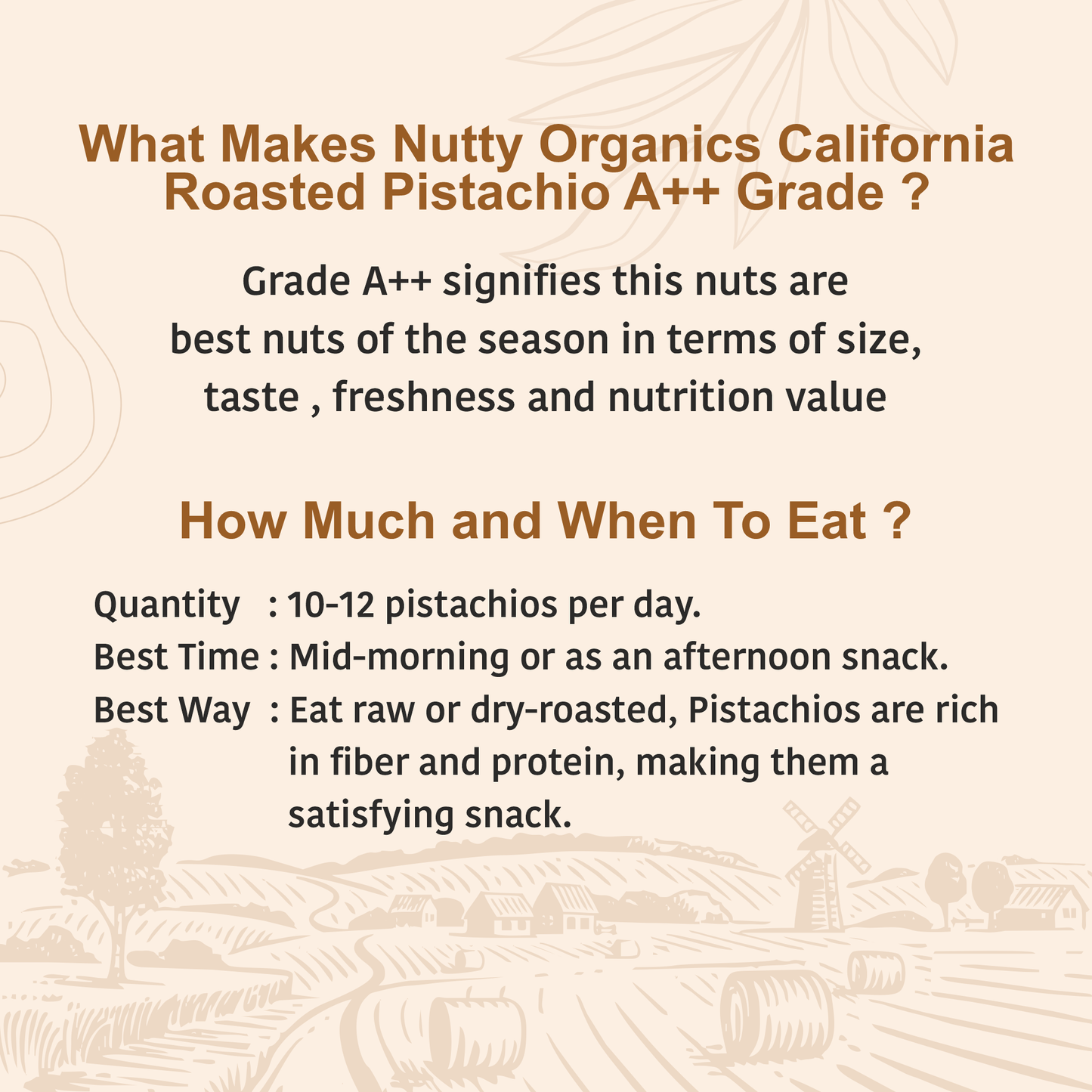 California Roasted Pistachios | Nutritious Tasty & Healthy Nuts Dry Fruits