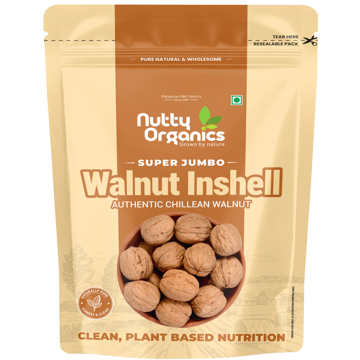 Walnuts In-shell | Jumbo Size Akhrot Saboot