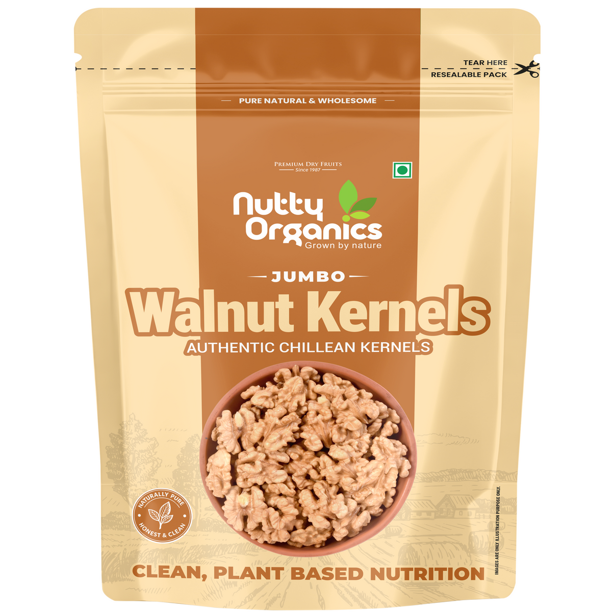 Walnut Kernels Jumbo Size Akhrot Giri | Nutritious Tasty & Healthy Nuts Dry Fruits