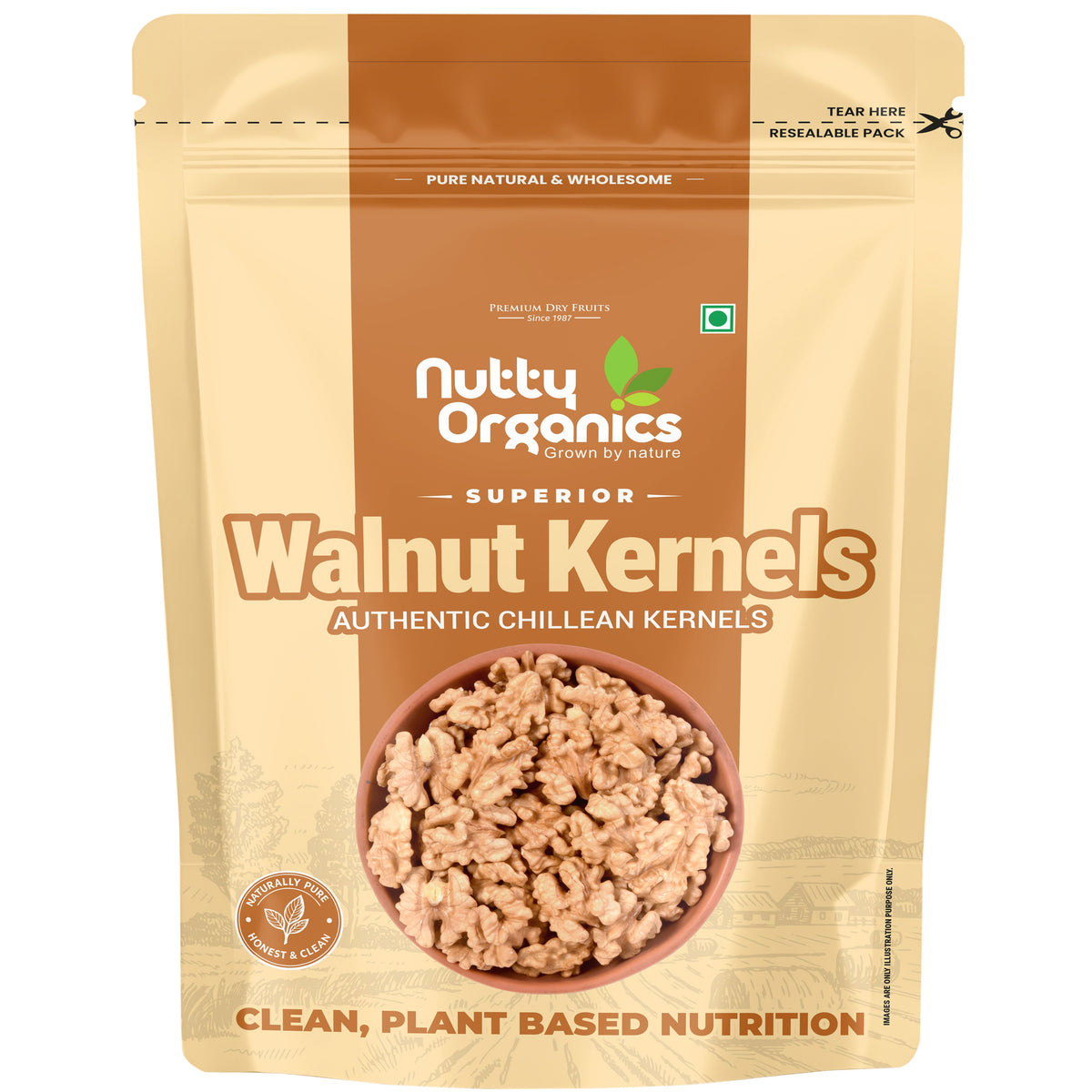 Walnut Kernels Large Size Akhrot Giri | Nutritious Tasty & Healthy Nuts Dry Fruits