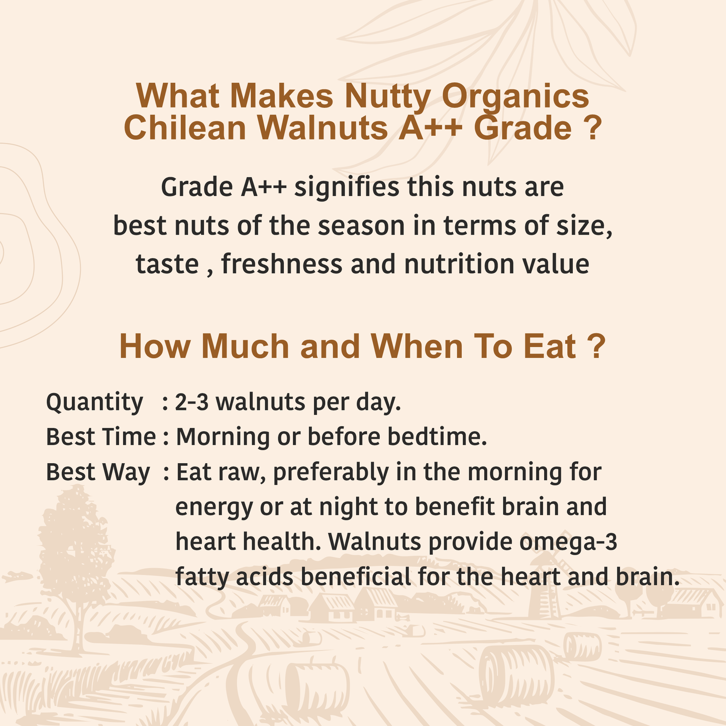 Chilean dried Walnuts | Nutritious Tasty & Healthy Nuts Dry Fruits