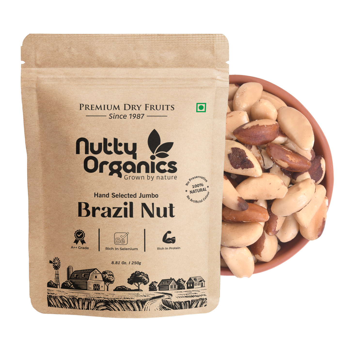 Premium Brazil Nuts | Grade A++ Jumbo Size | Rich in Selenium