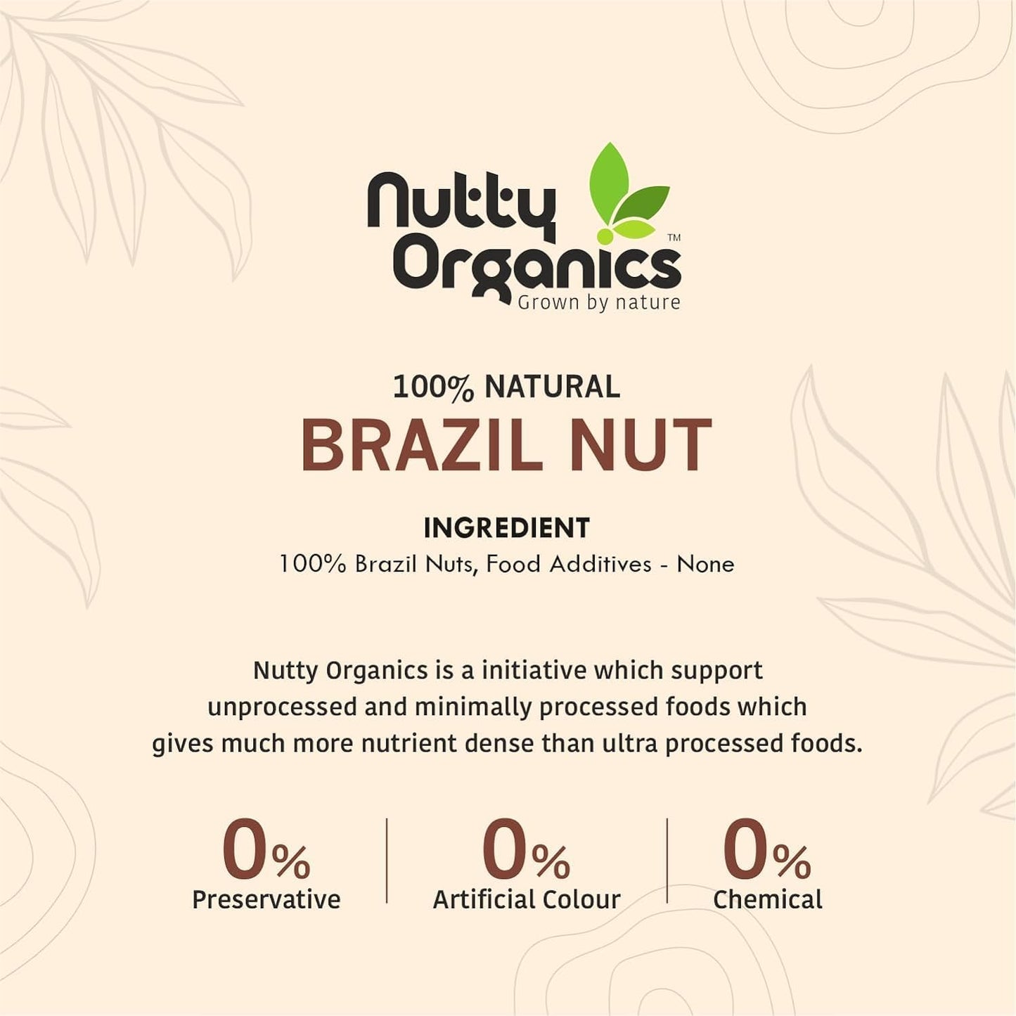 Premium Brazil Nuts | Grade A++ Jumbo Size | Rich in Selenium