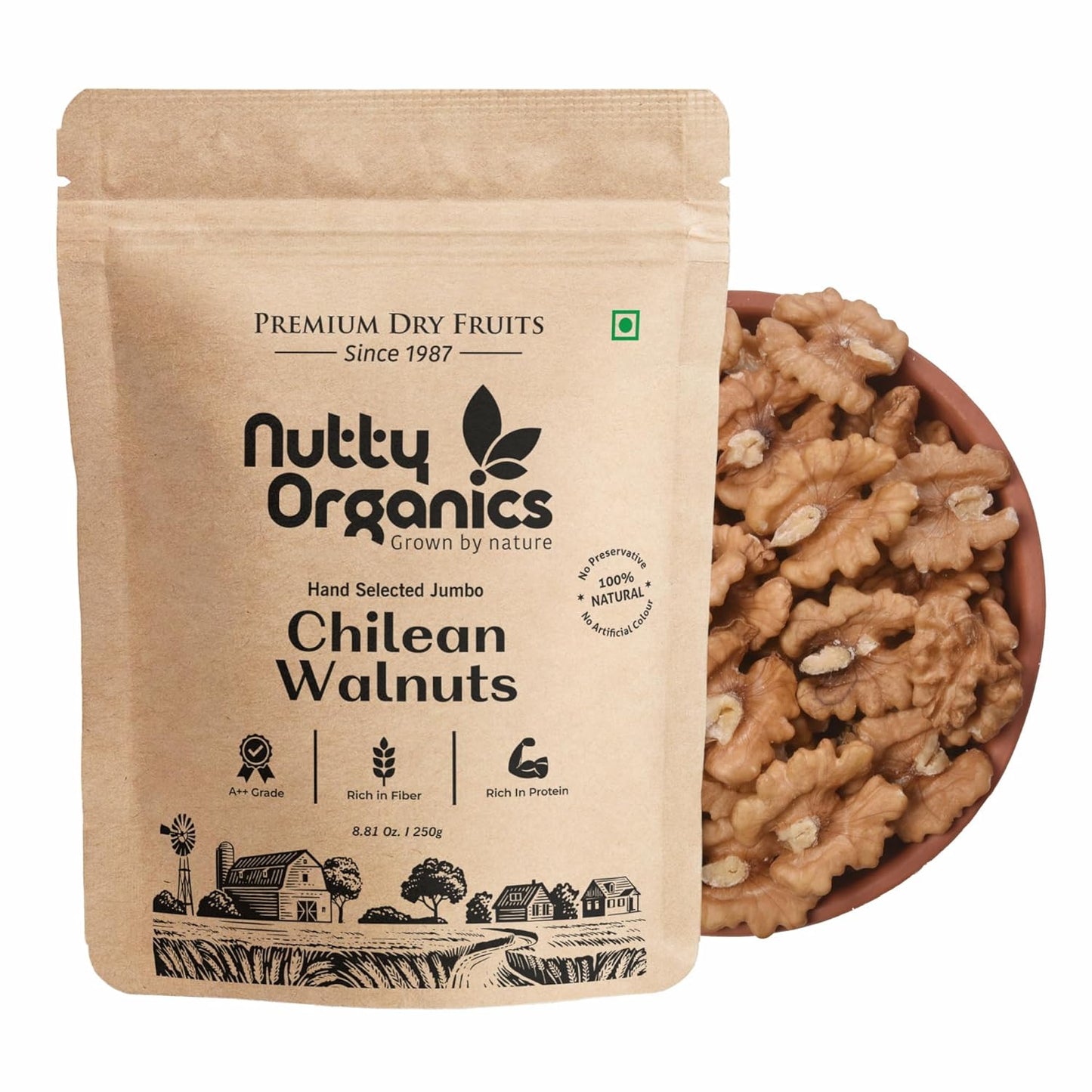 Chilean dried Walnuts | Nutritious Tasty & Healthy Nuts Dry Fruits