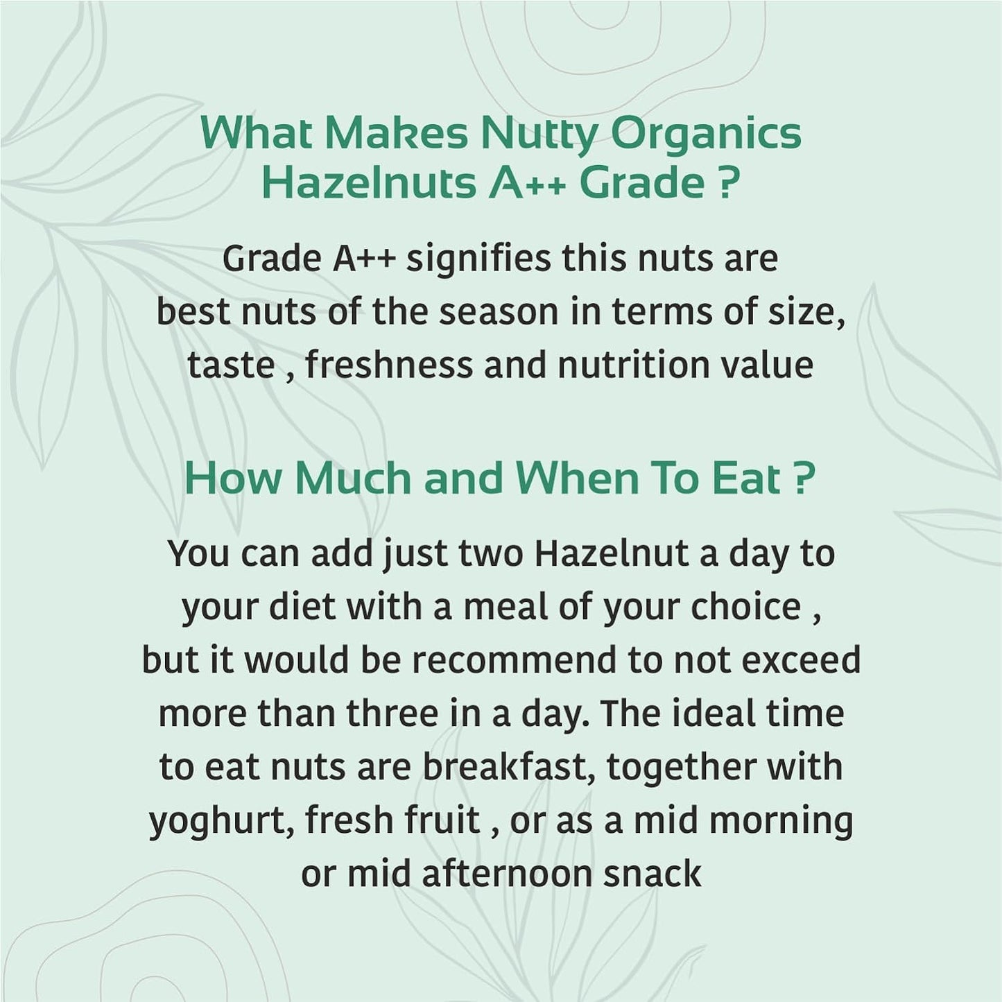 Premium Unsalted Hazelnuts | Crunchy & Rich in Omega-3 and Antioxidants